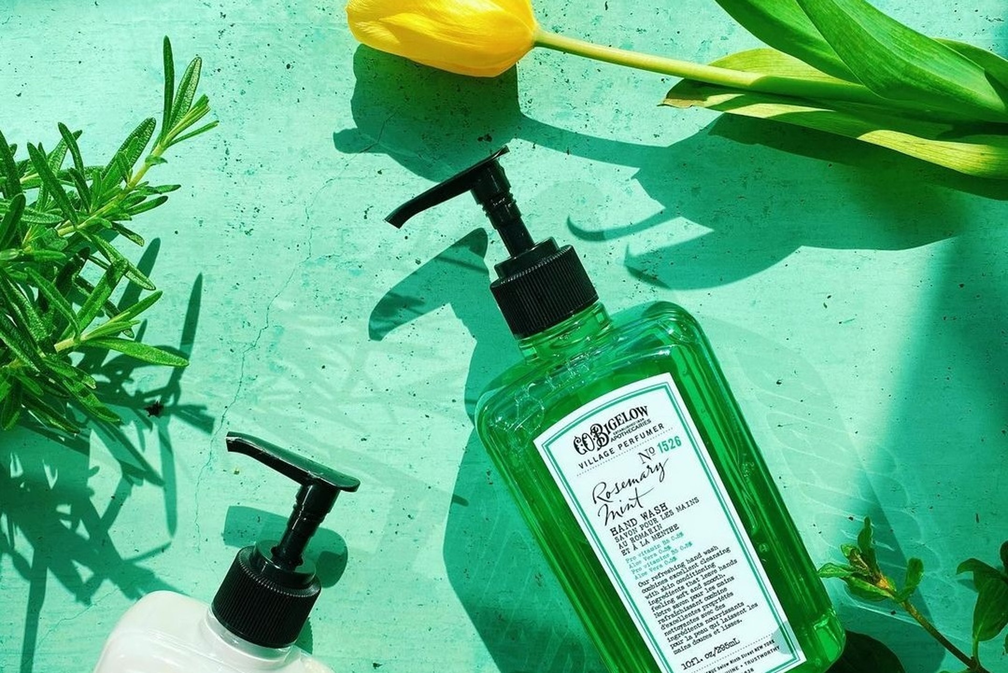 Image for C.O. Bigelow