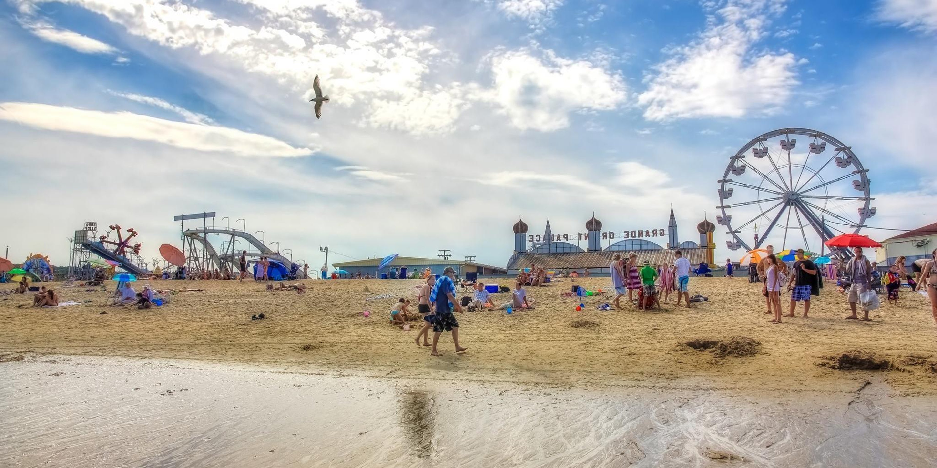 Image for Palace Playland