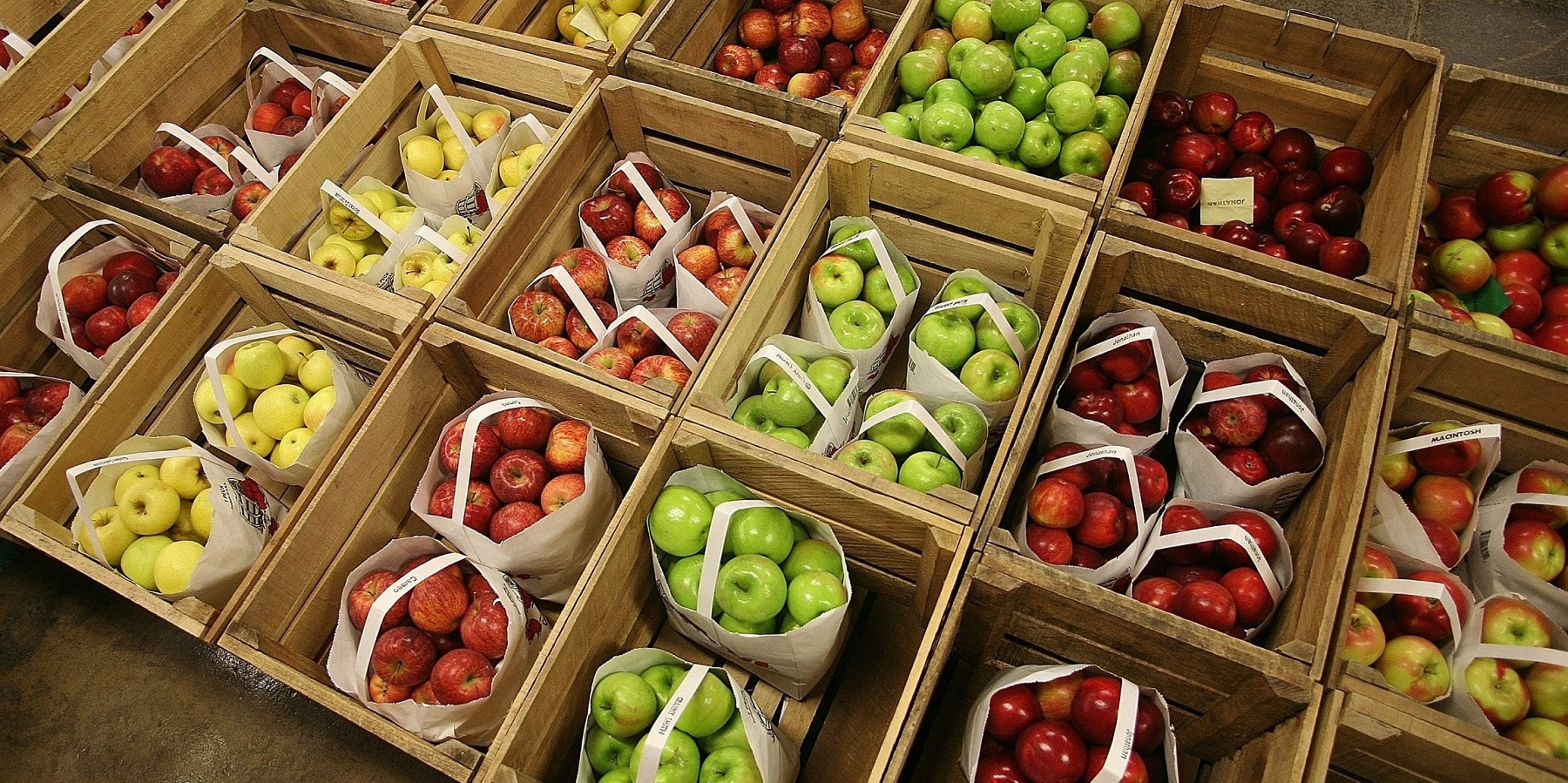 Image for Curtis Orchard & Pumpkin Patch