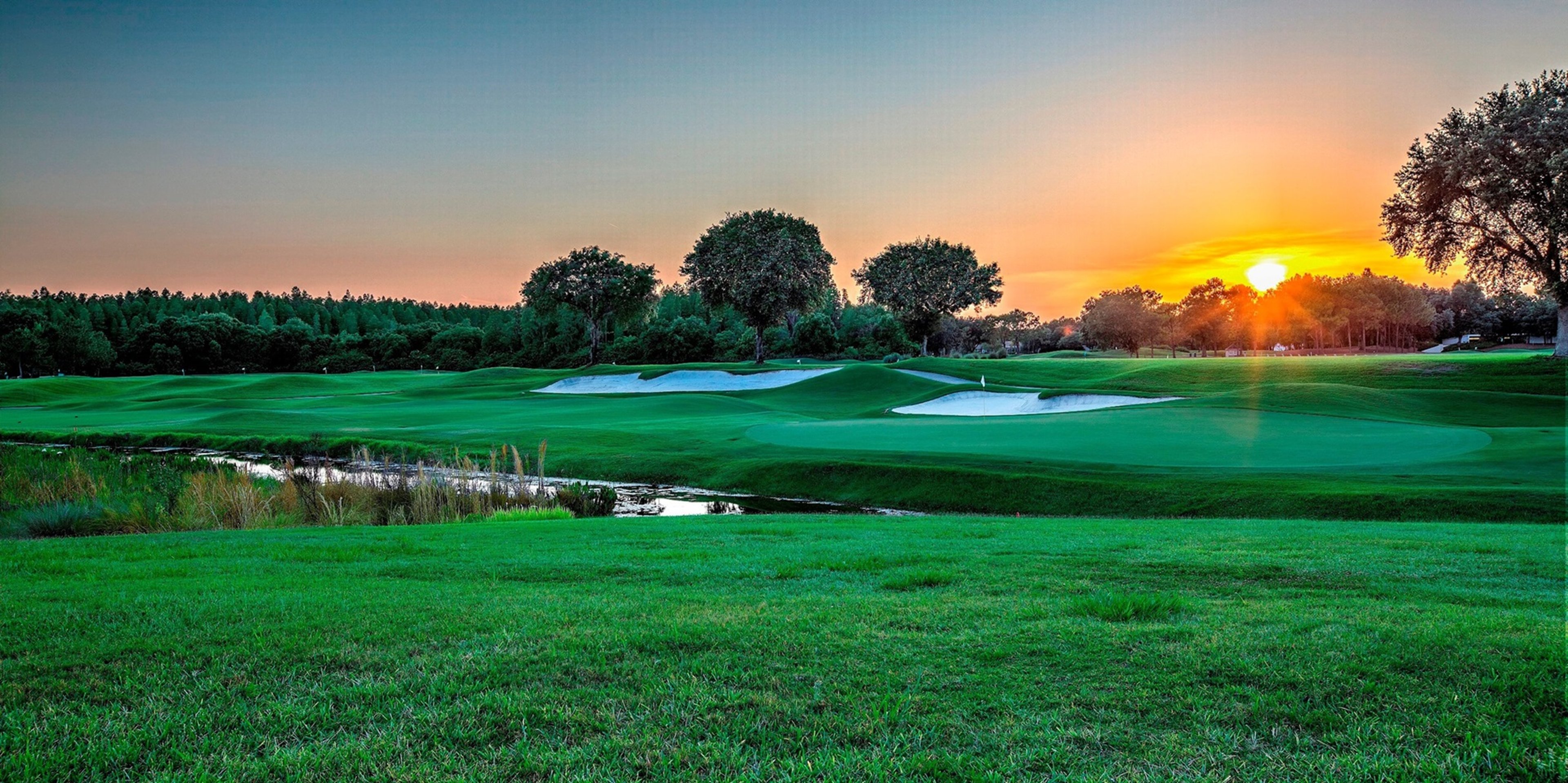 Image for TPC Tampa Bay