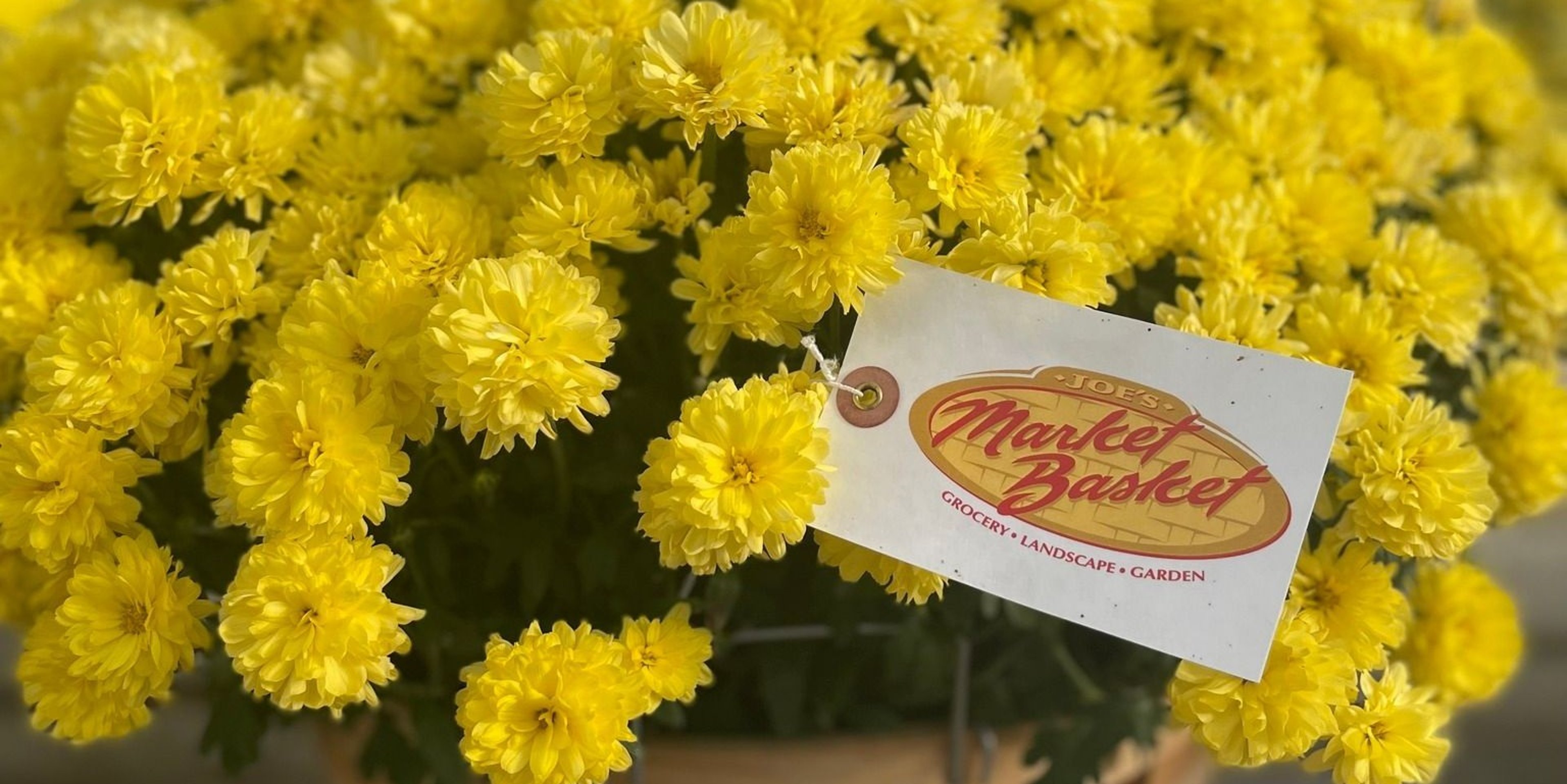 Image for Joe's Market Basket