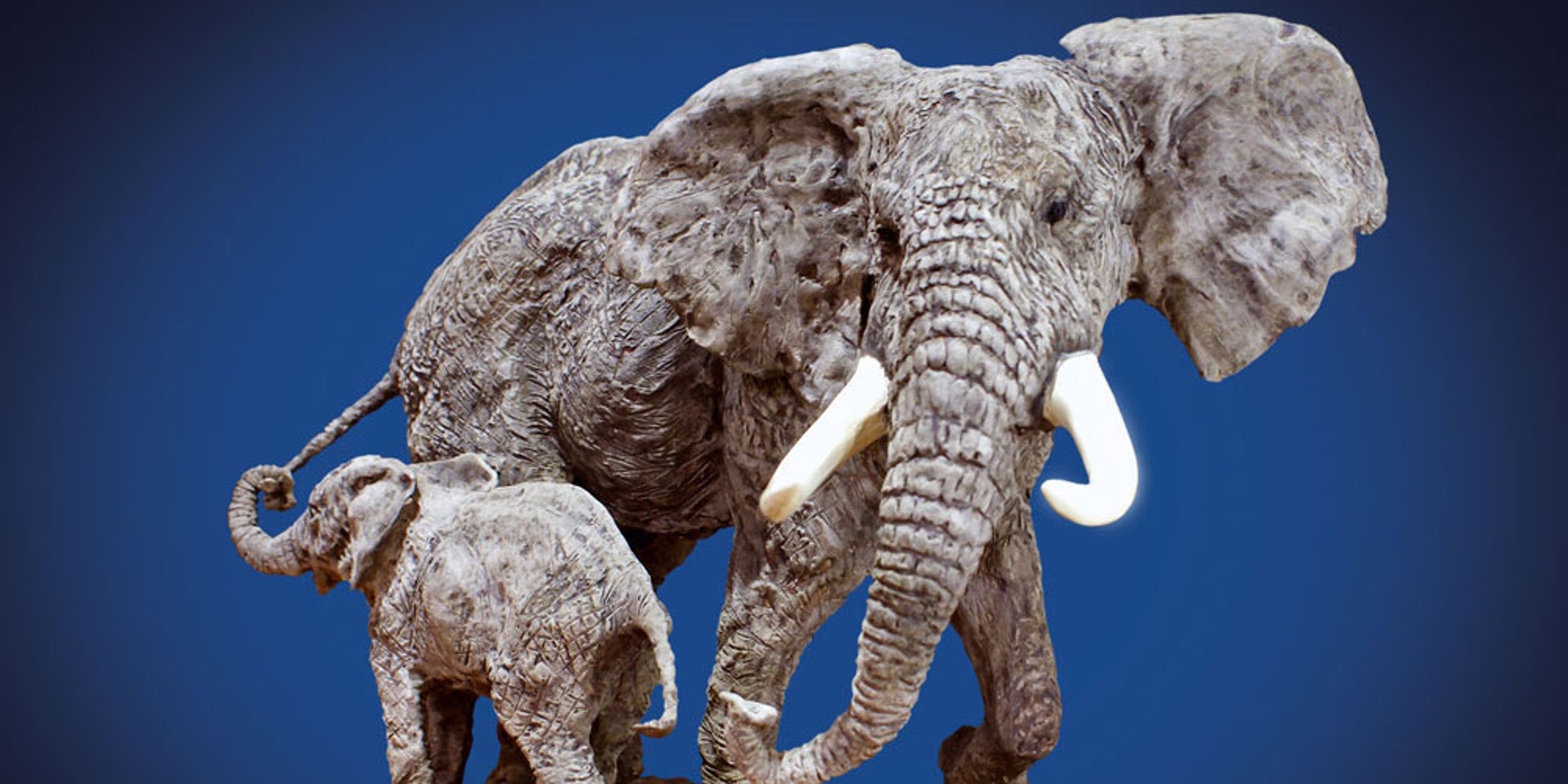 Image for Foundation Michelangelo