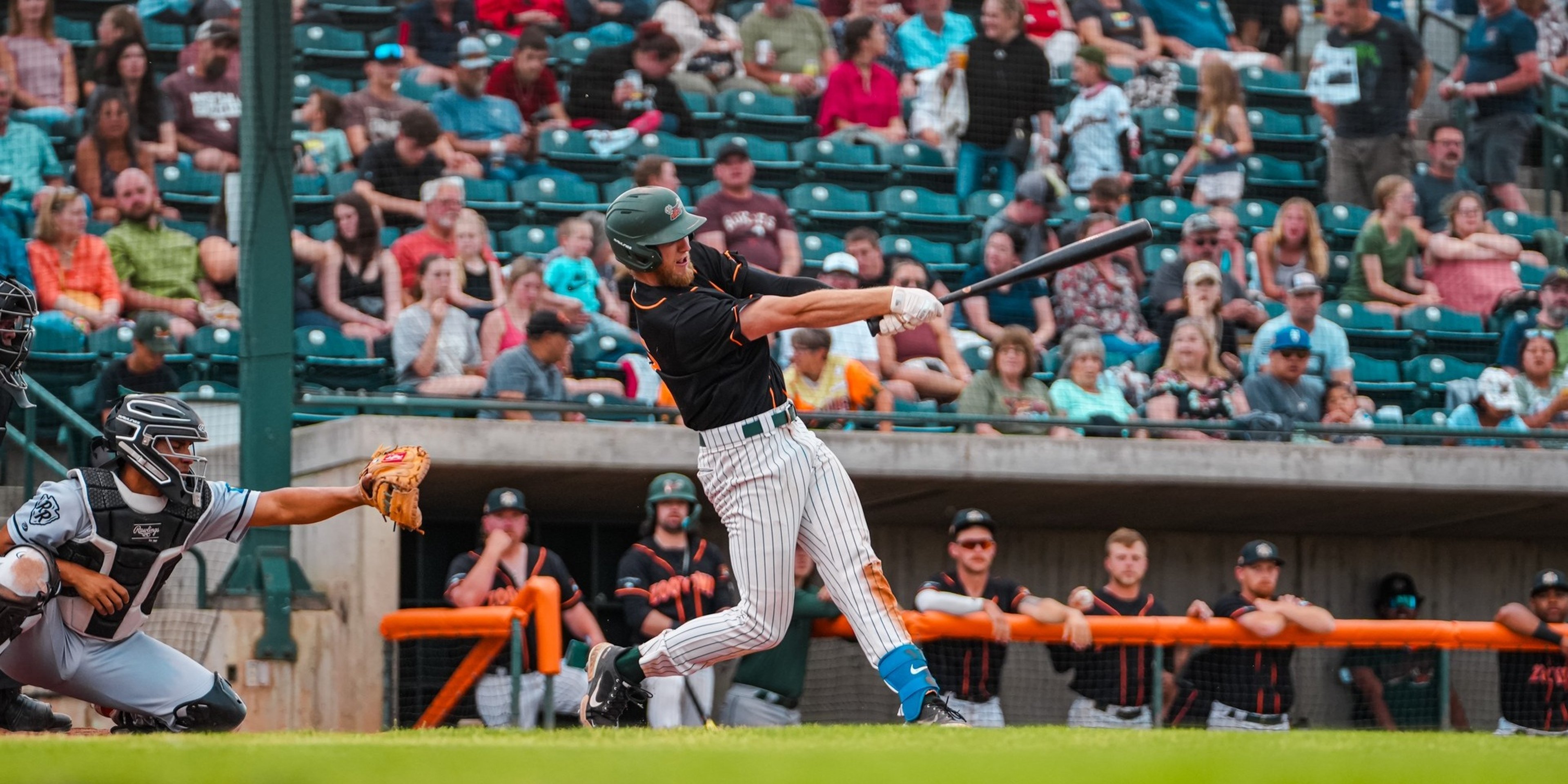 Image for Missoula Paddleheads