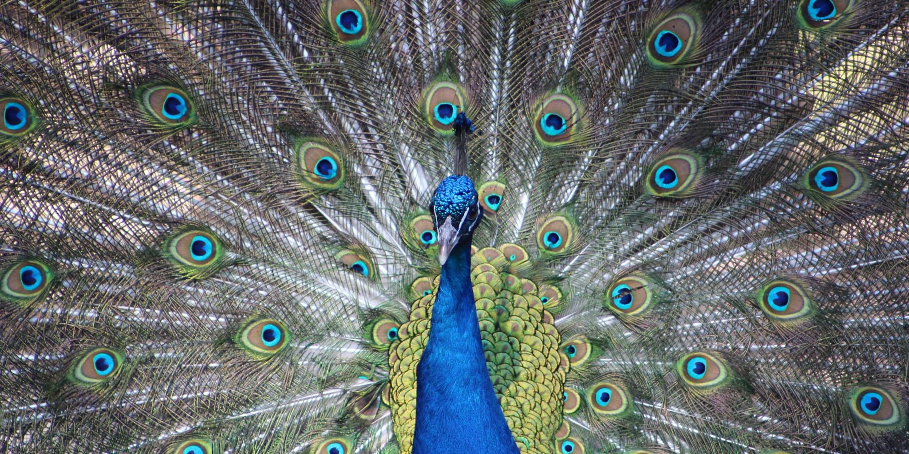 Image for Binder Park Zoo