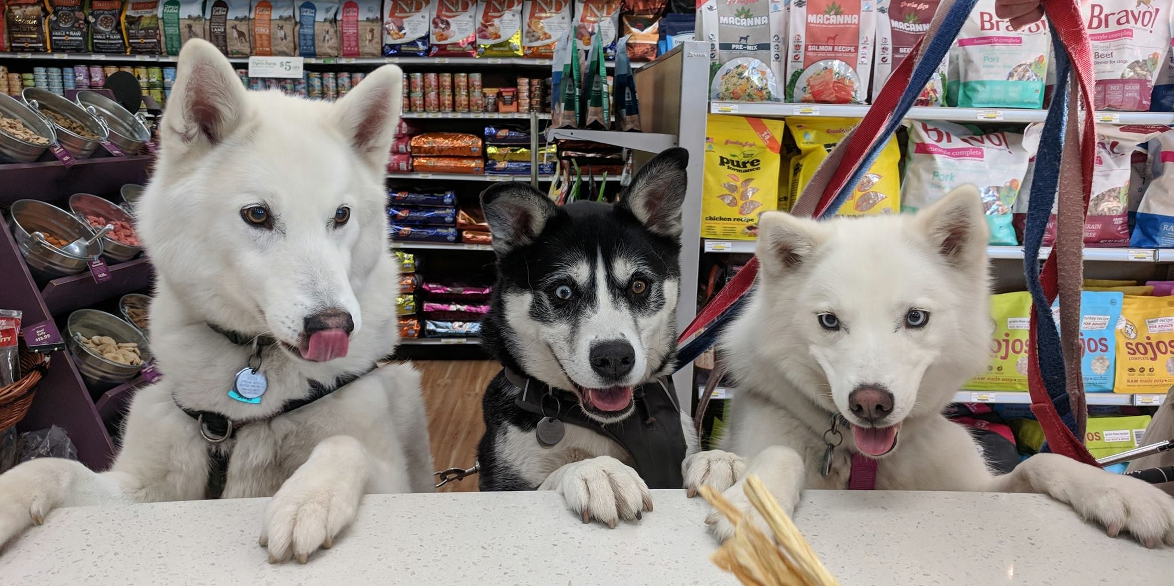 Image for All The Best Pet Care