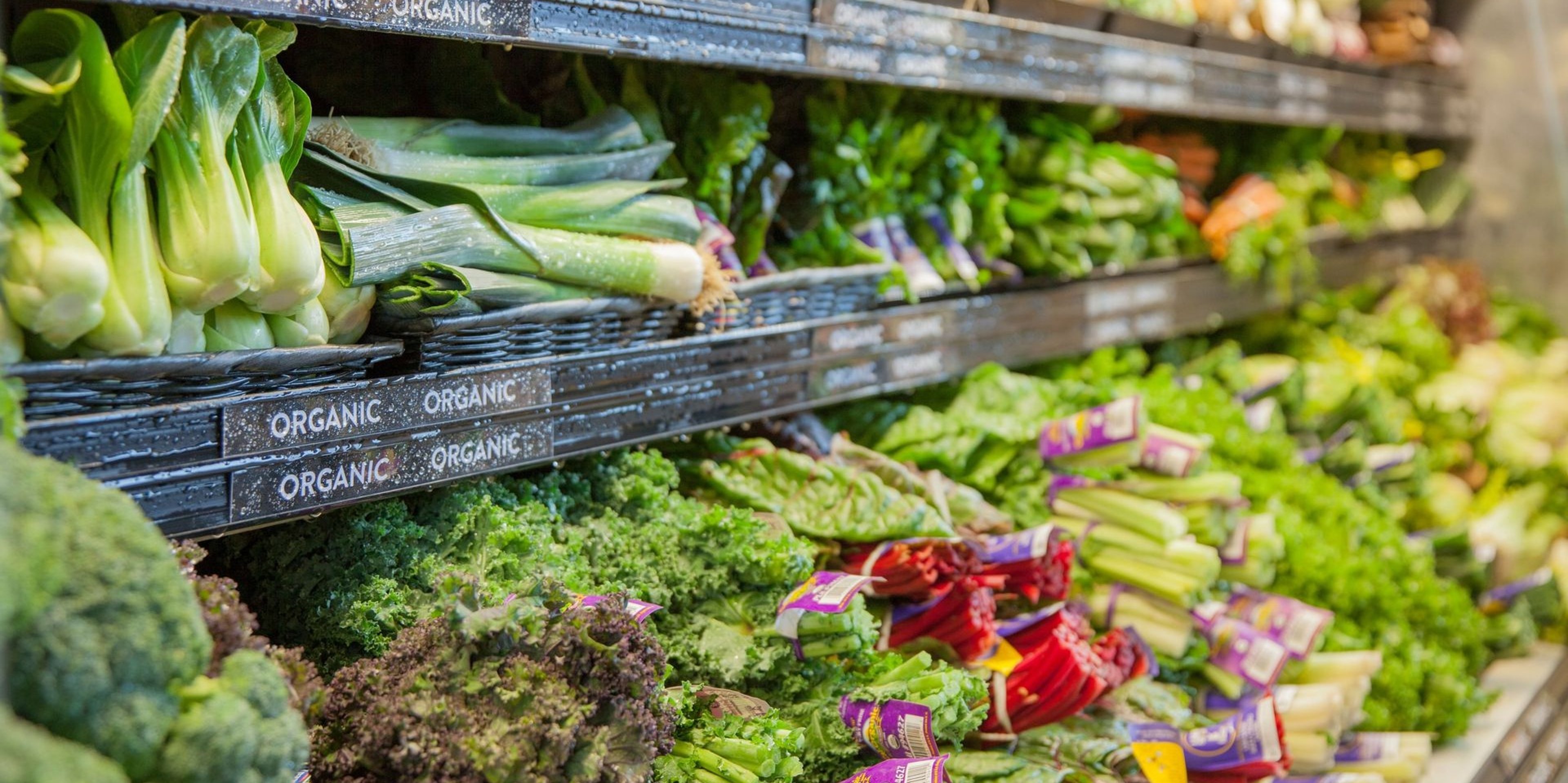 Image for Rising Tide Market