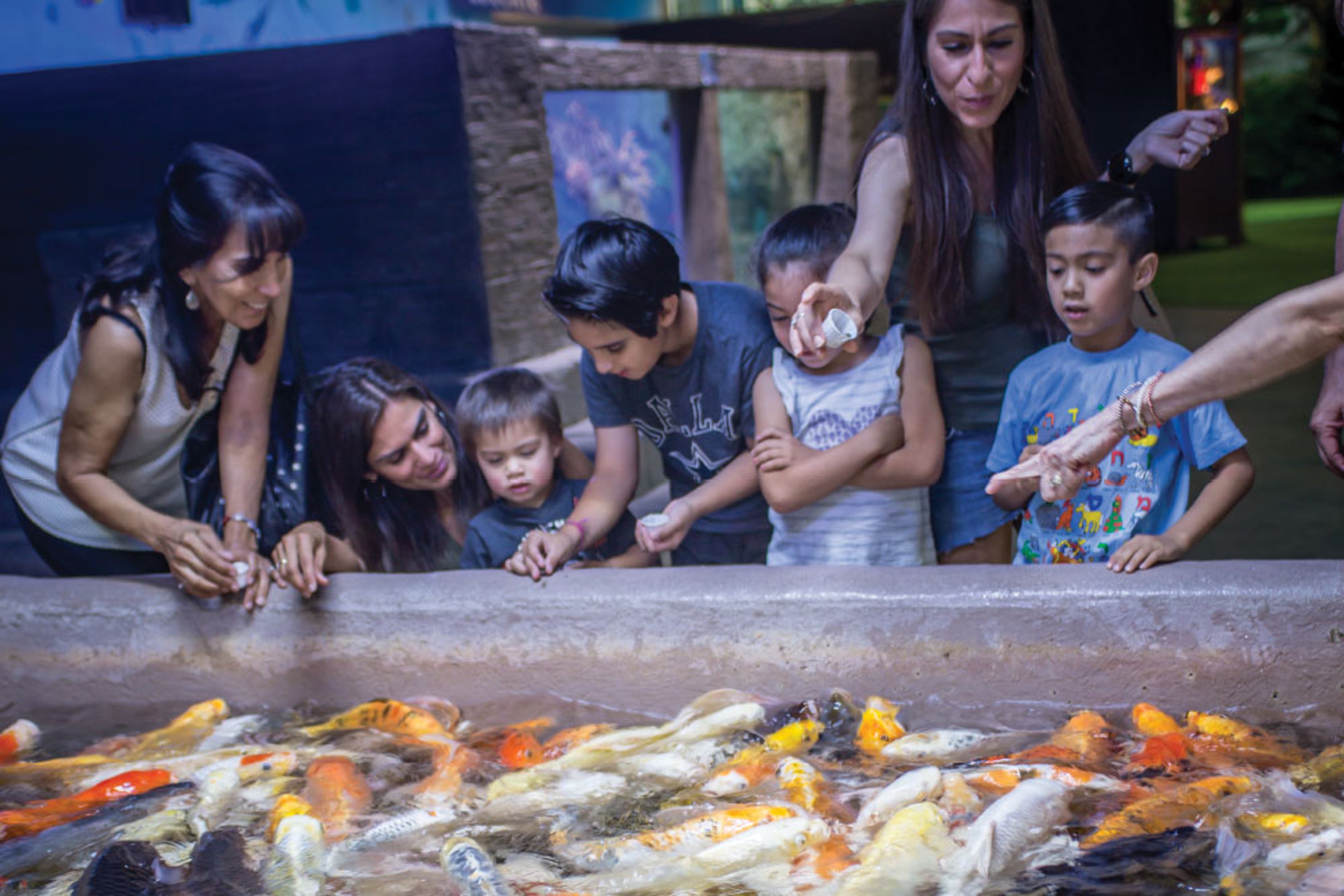 Image for Houston Interactive Aquarium & Animal Preserve