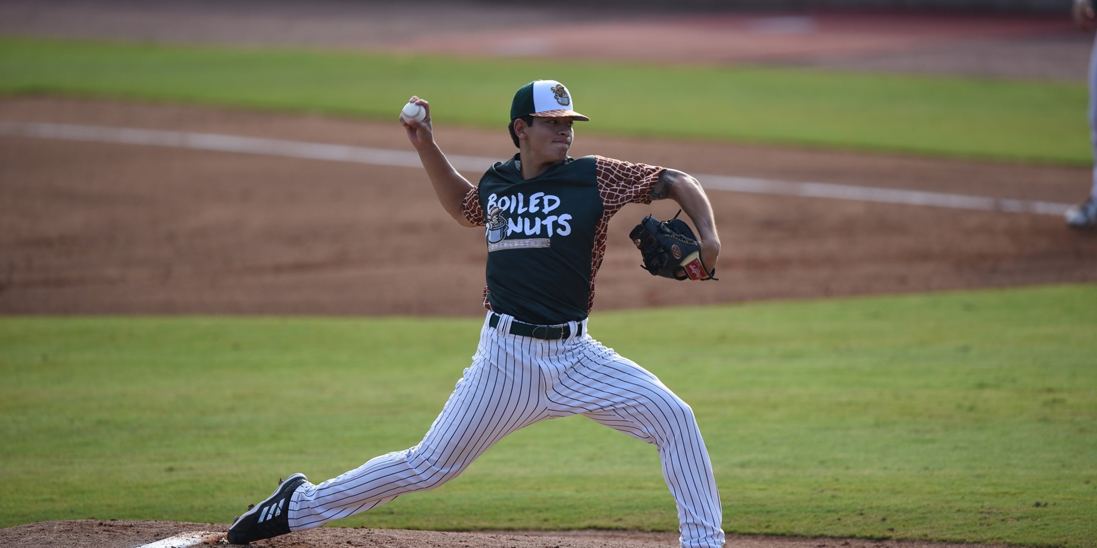 Image for Charleston RiverDogs