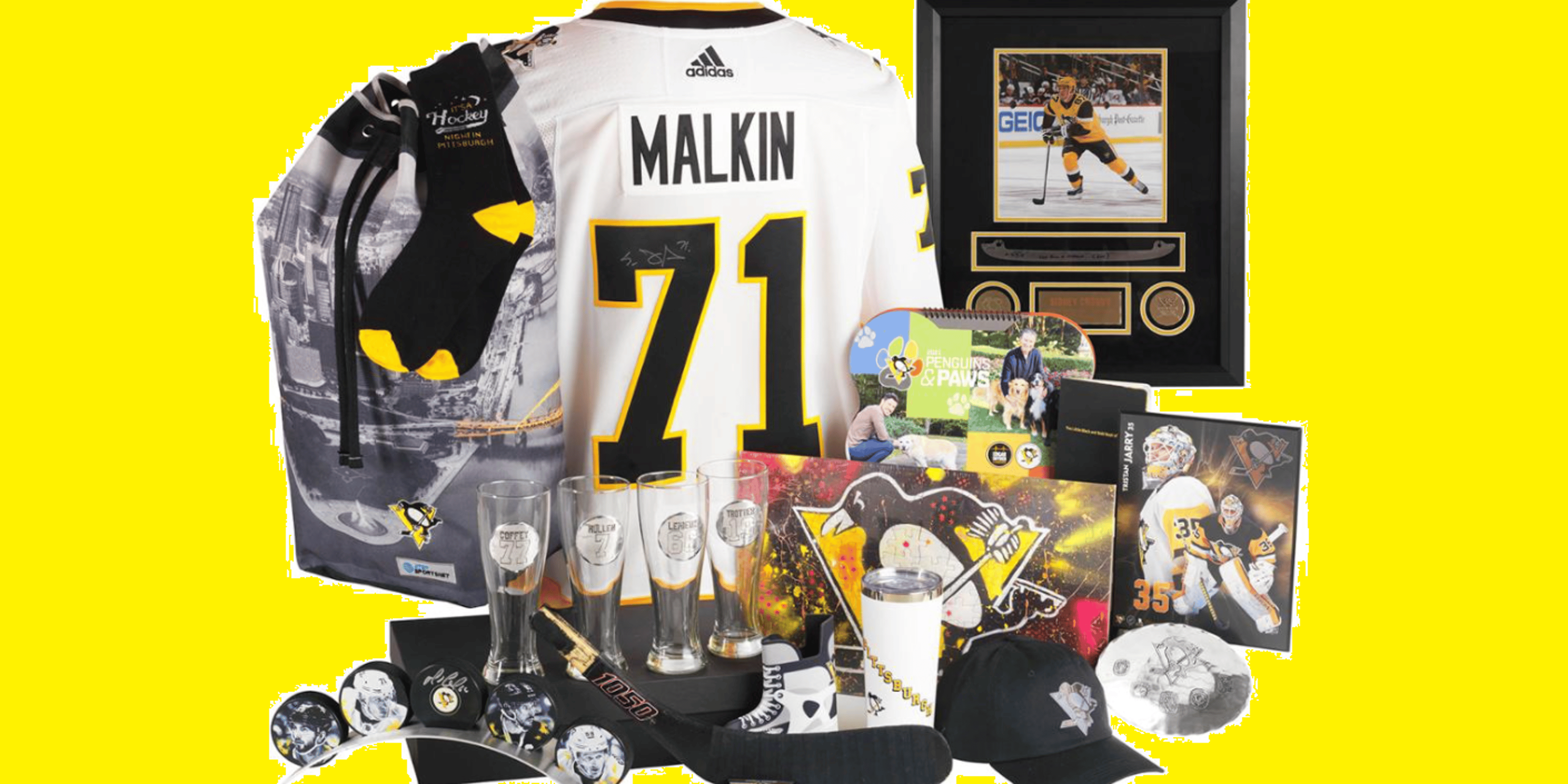 Image for Mario Lemieux Foundation