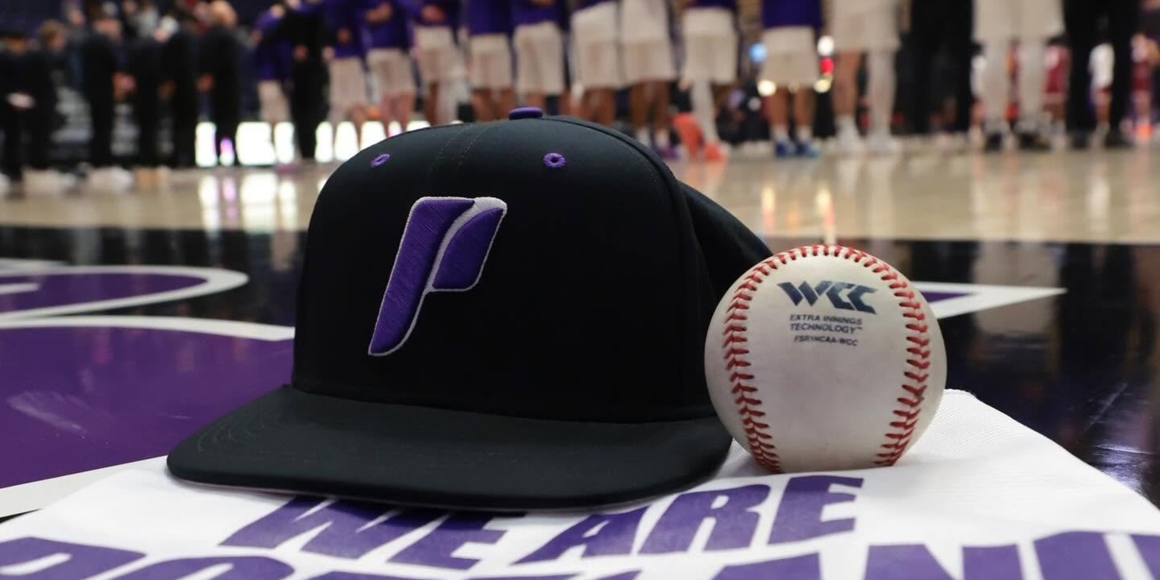 Image for University of Portland Athletics (Pilots)