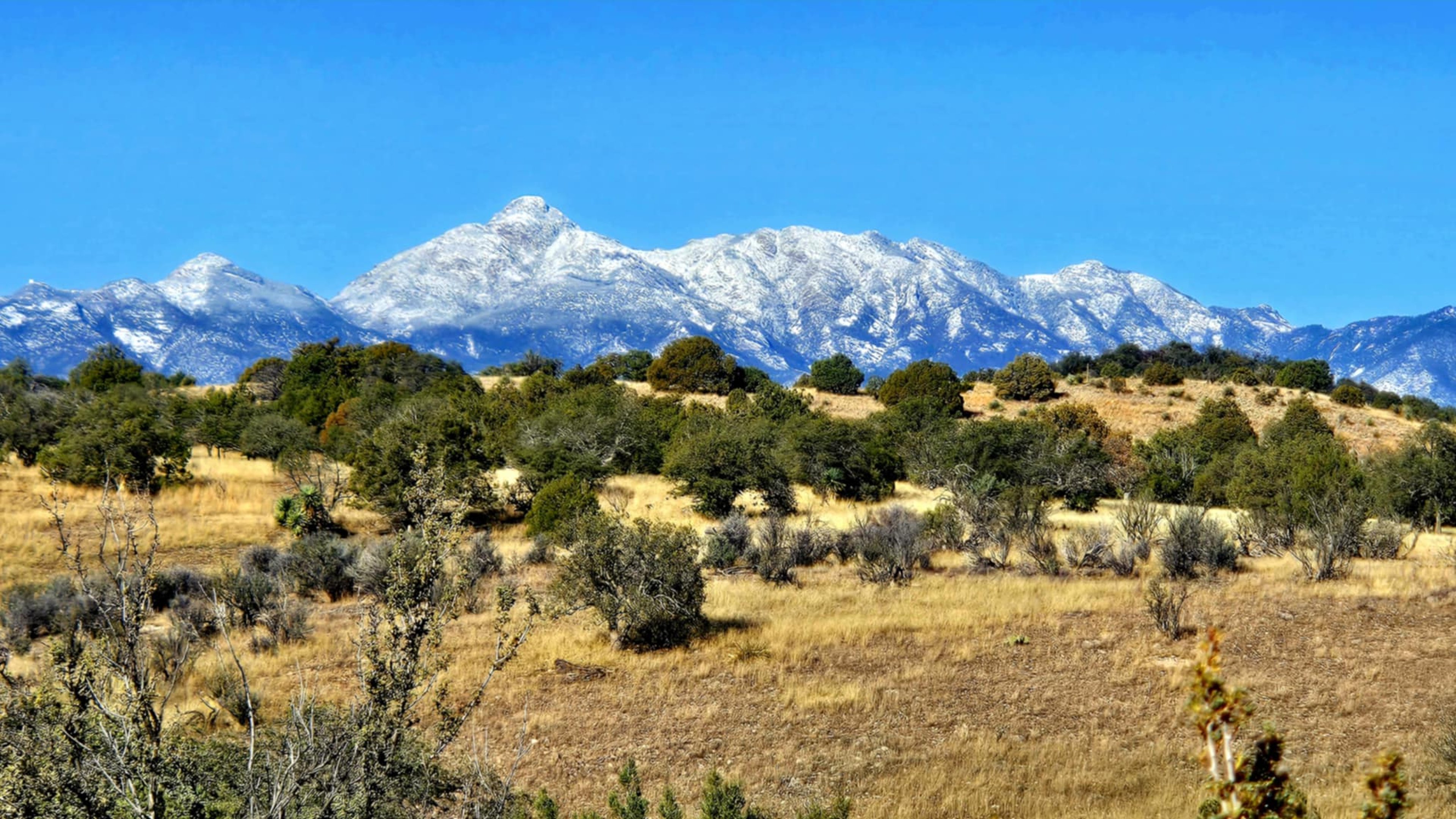 Image for 2 Night All Inclusive Arizona Ranch Getaway