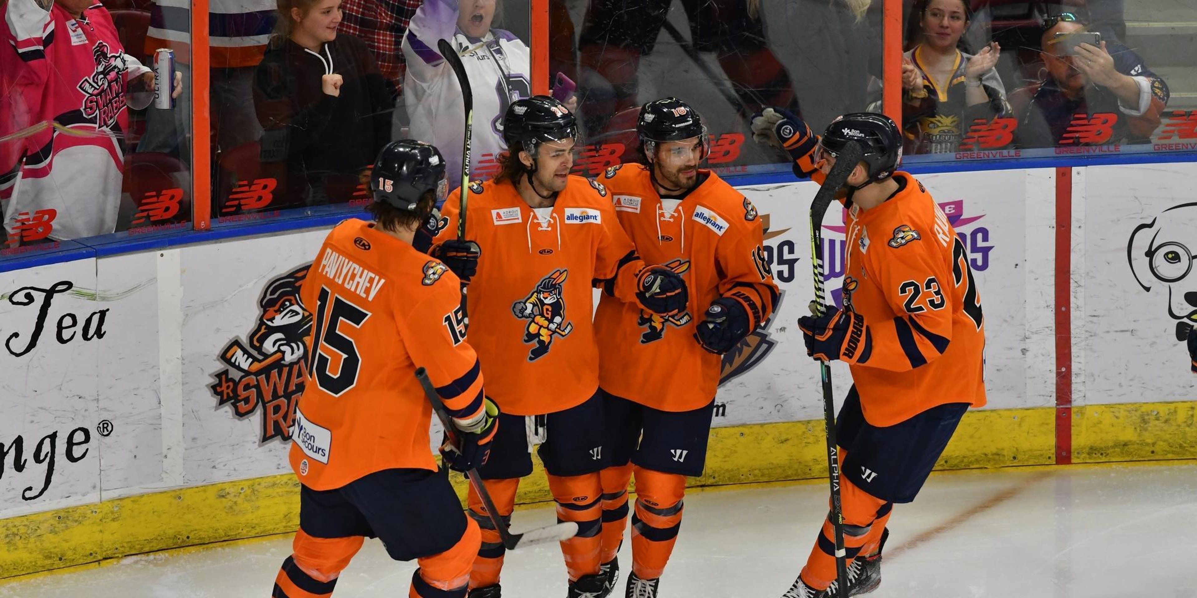 Image for Greenville Swamp Rabbits