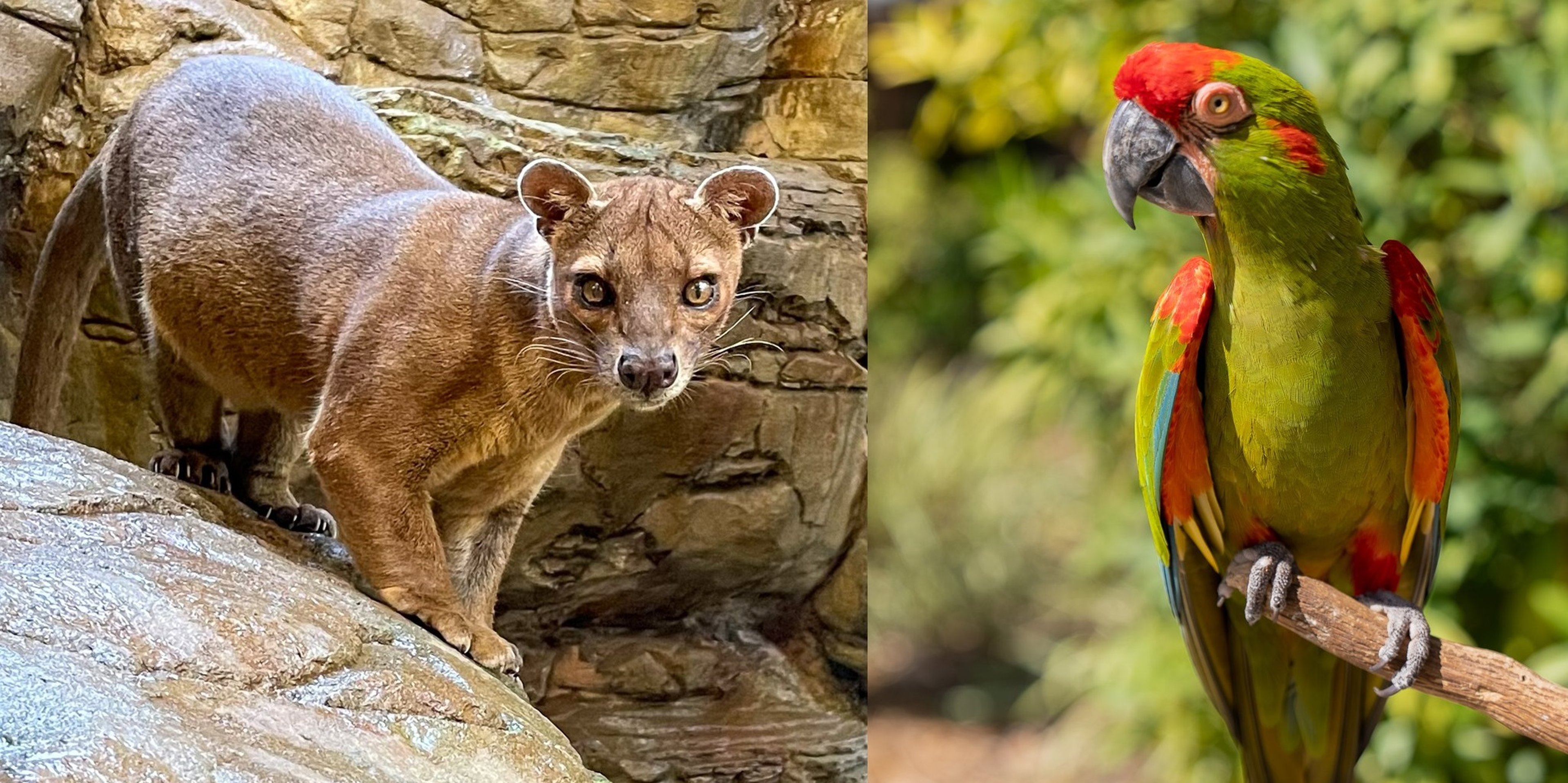 Image for Central Florida Zoo and Botanical Gardens