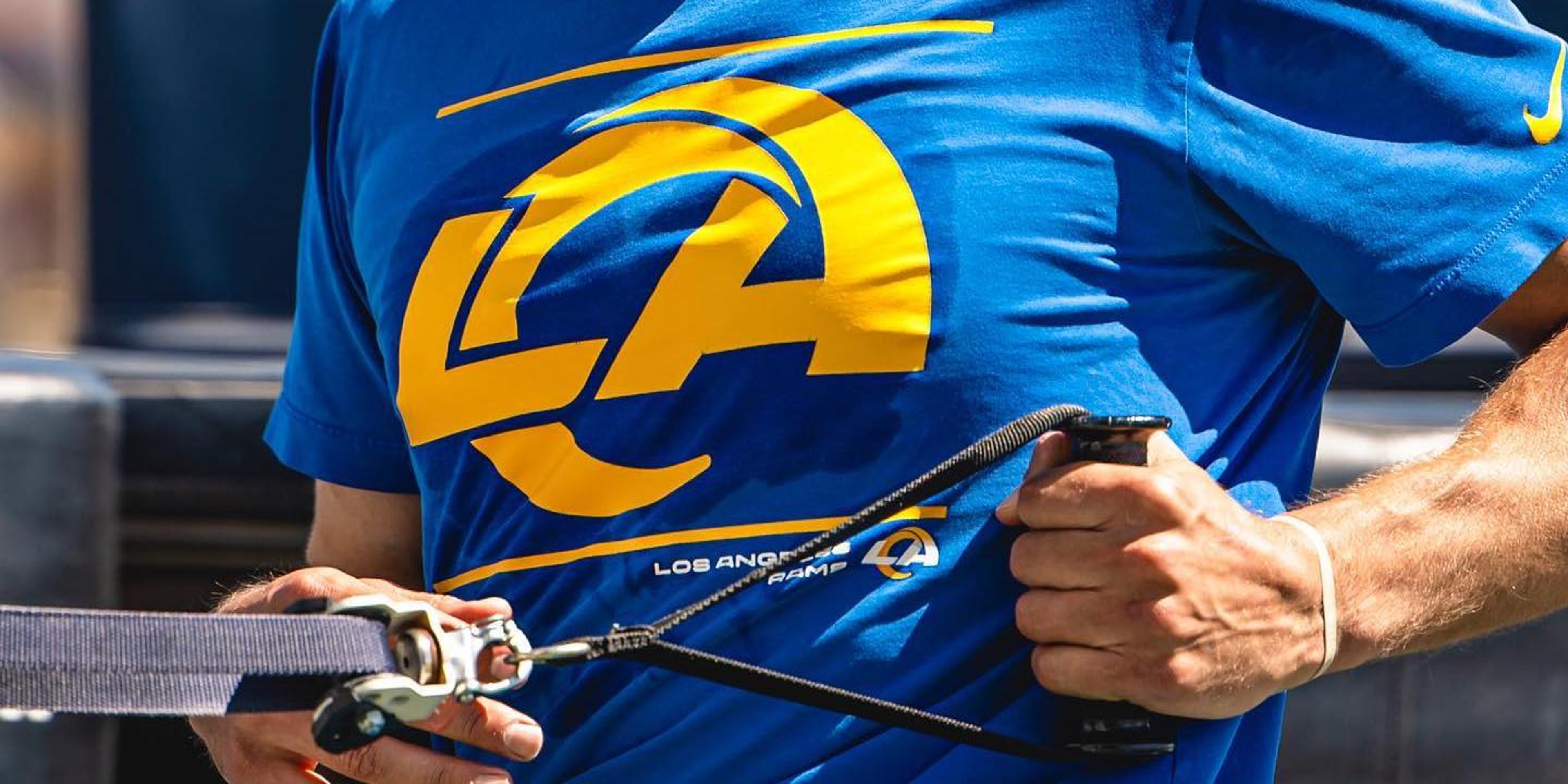 Image for Los Angeles Rams