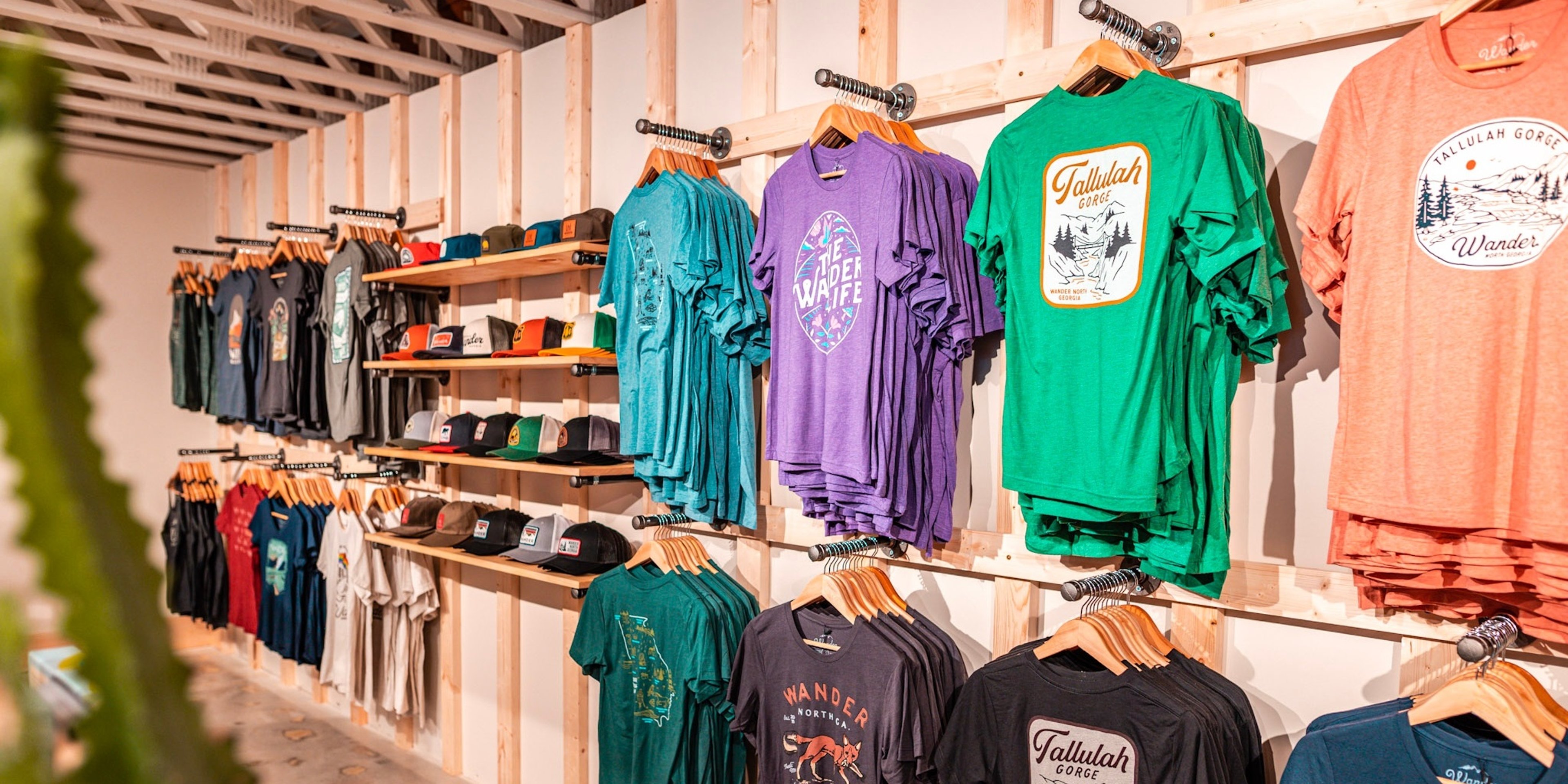 Image for Wander North Georgia