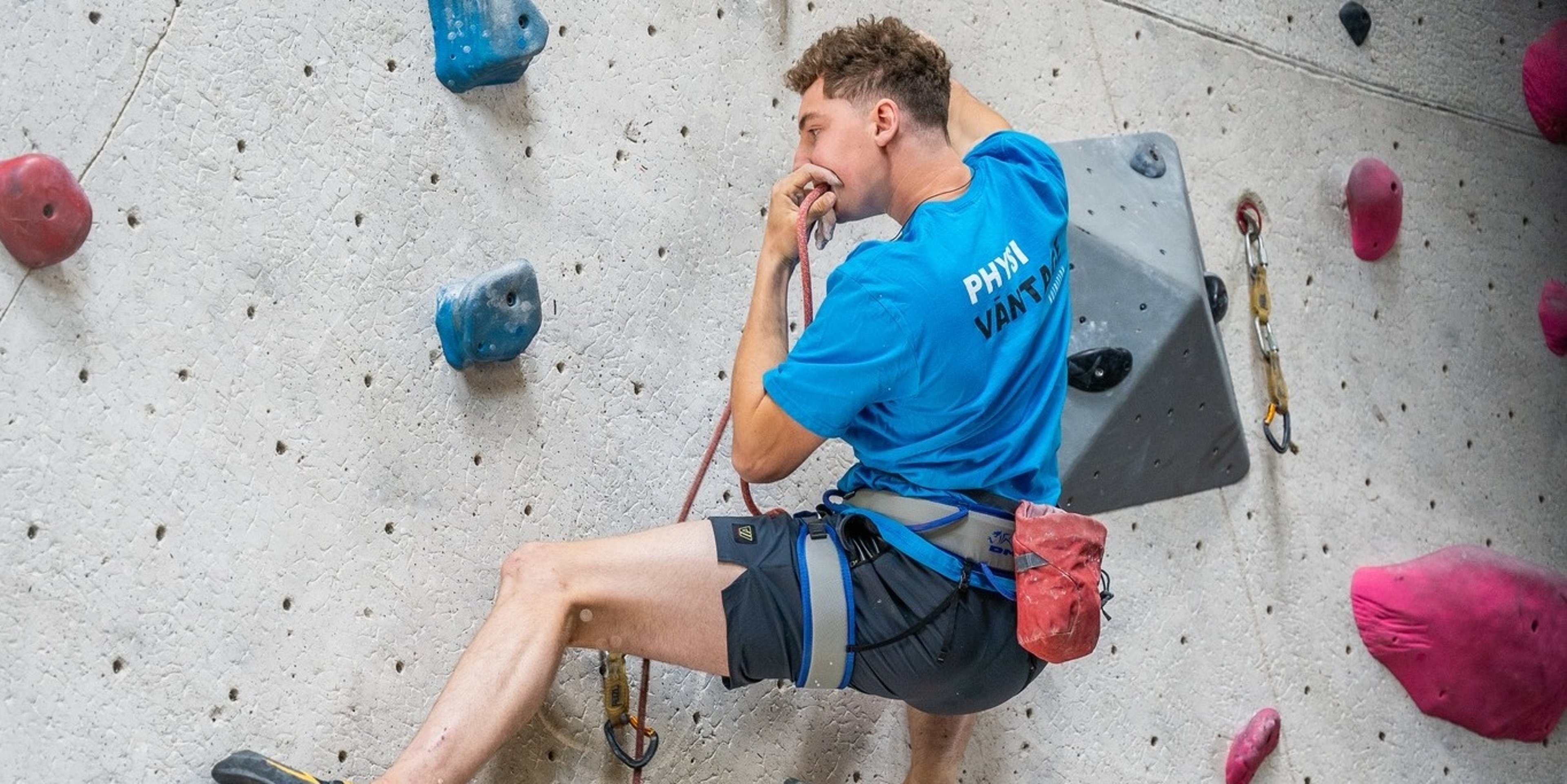 Image for Vertical Endeavors