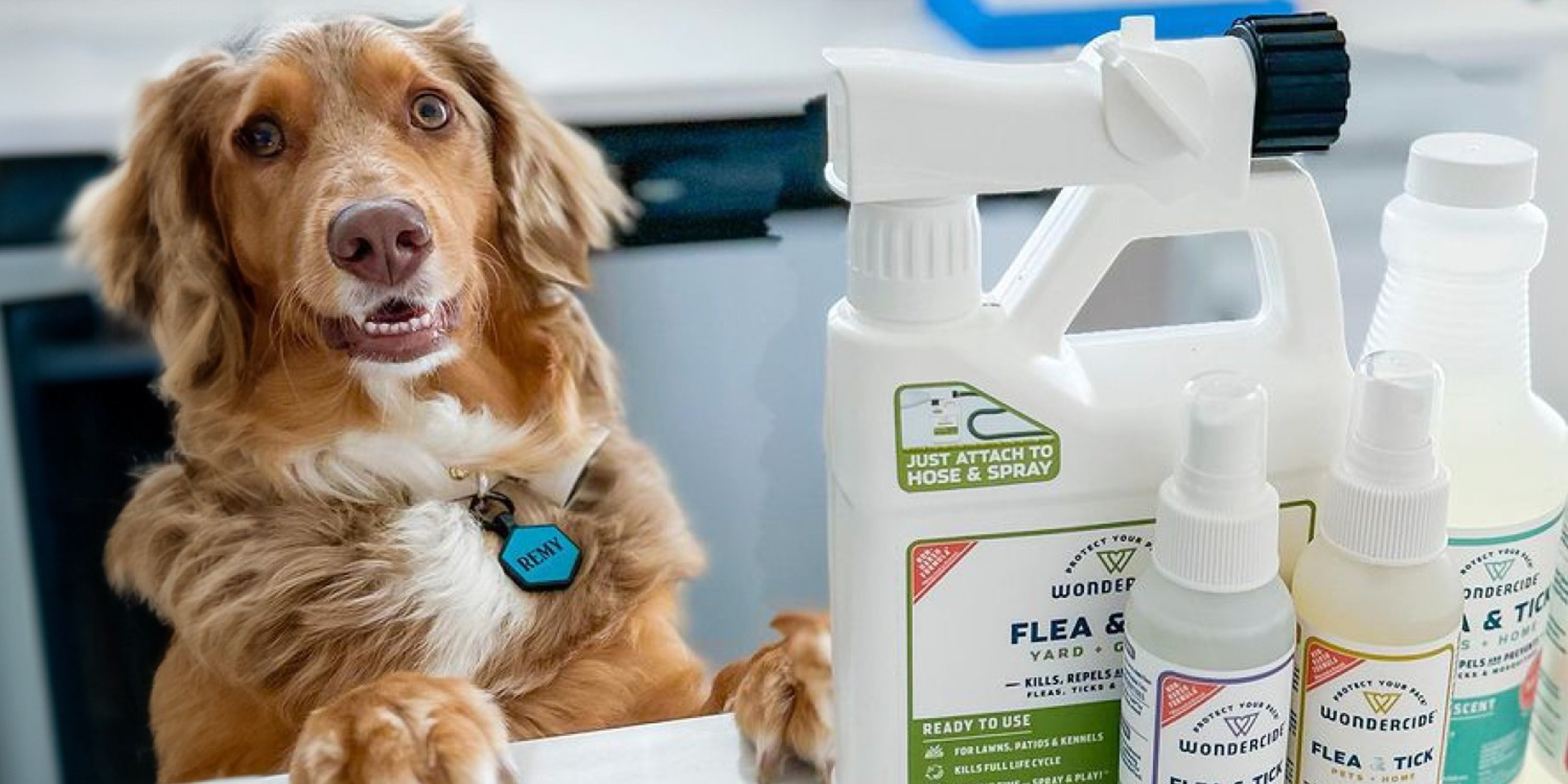 Image for Wondercide