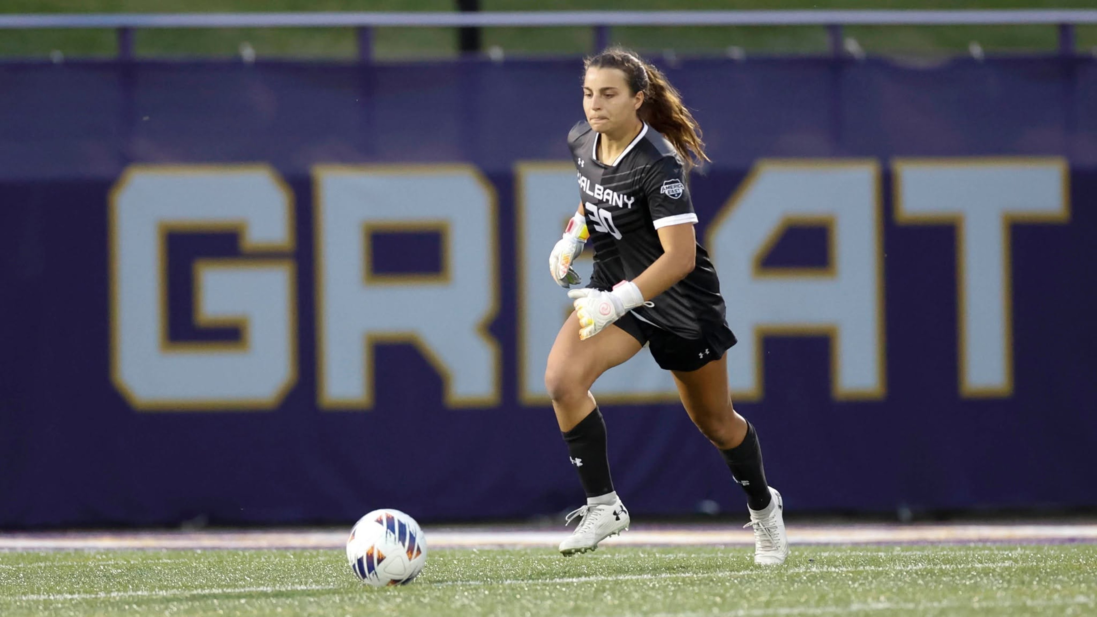 Image for University at Albany Athletics