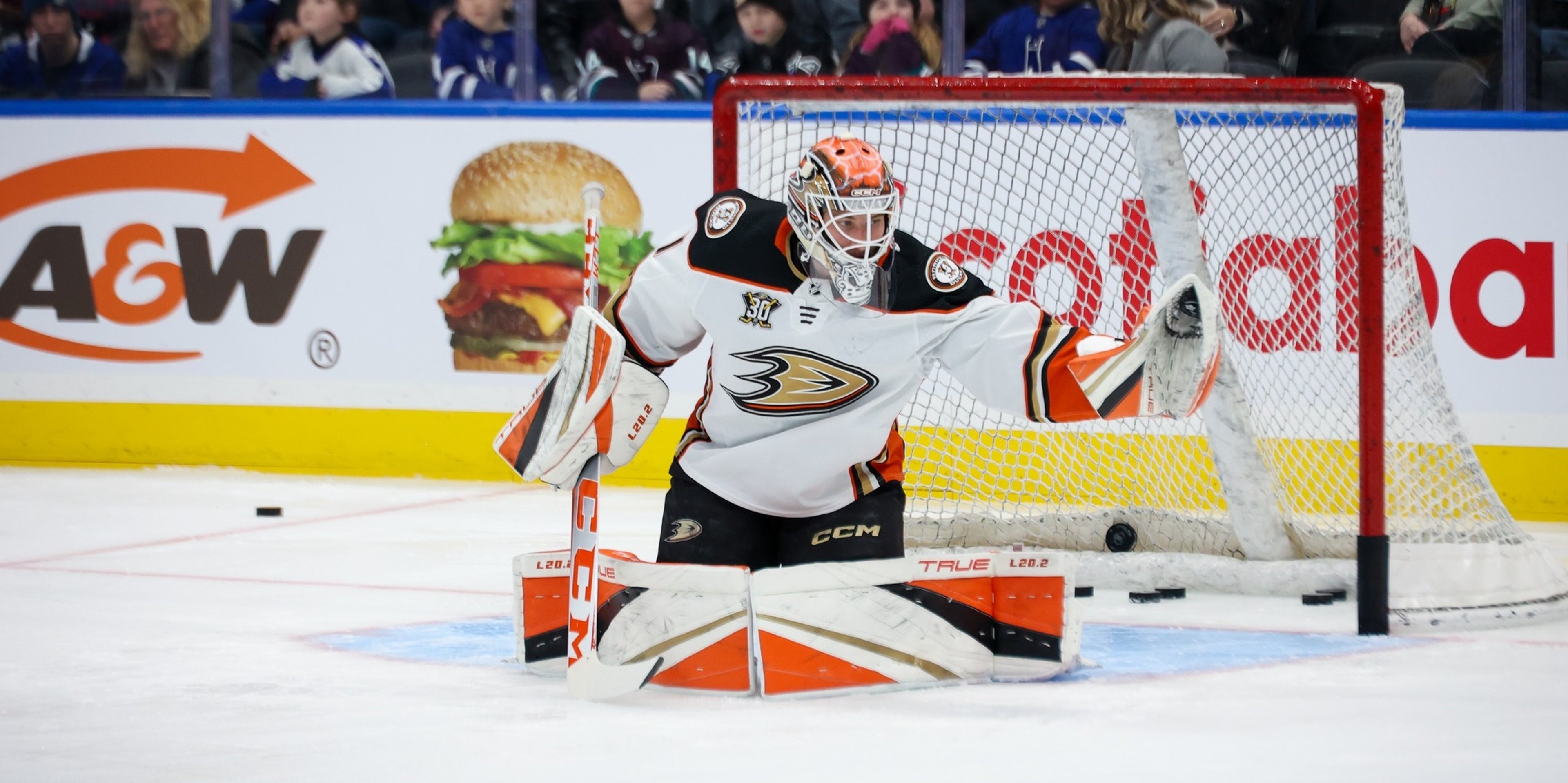 Image for Anaheim Ducks