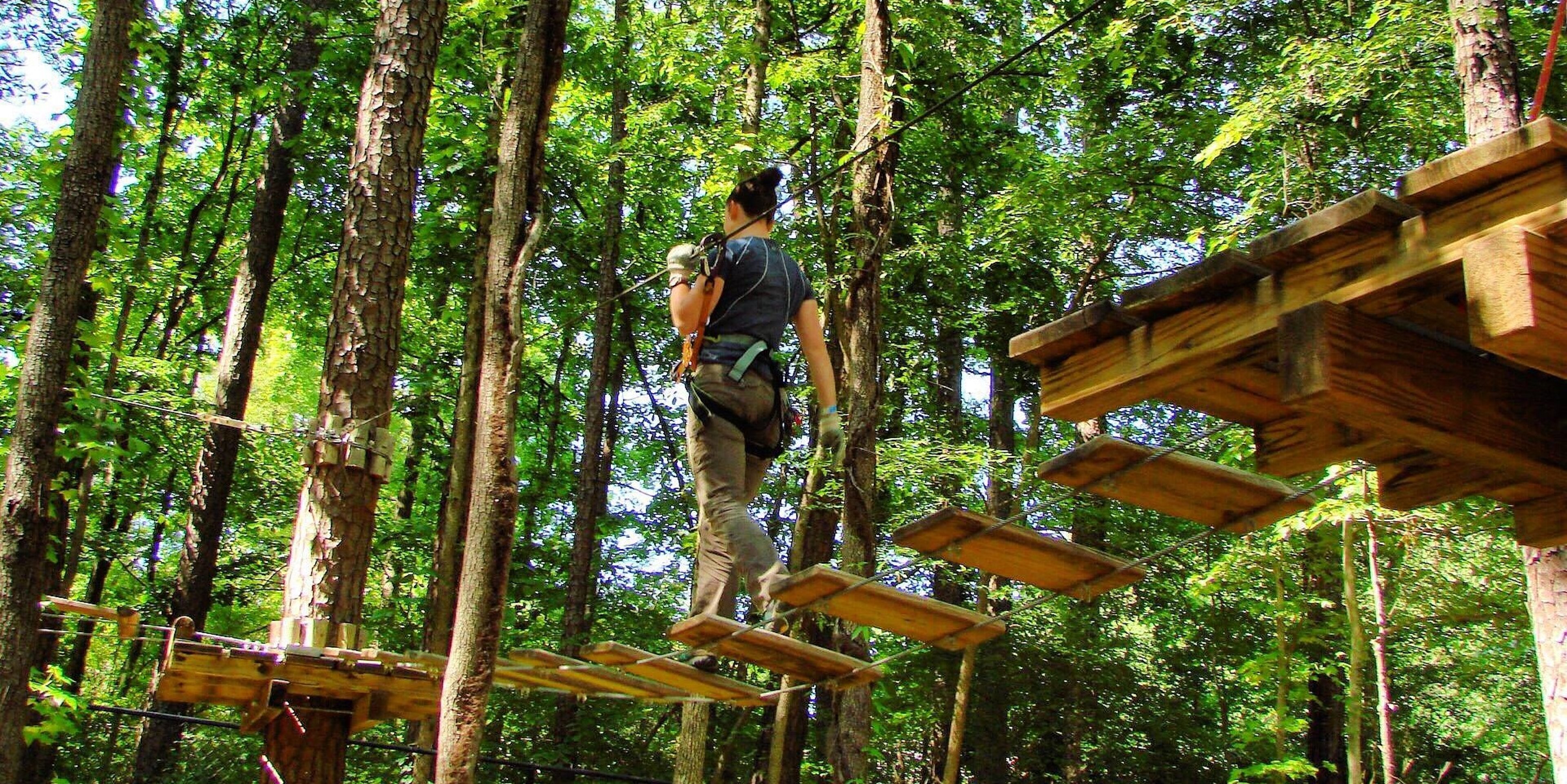 Image for Treetop Quest (Philadelphia)