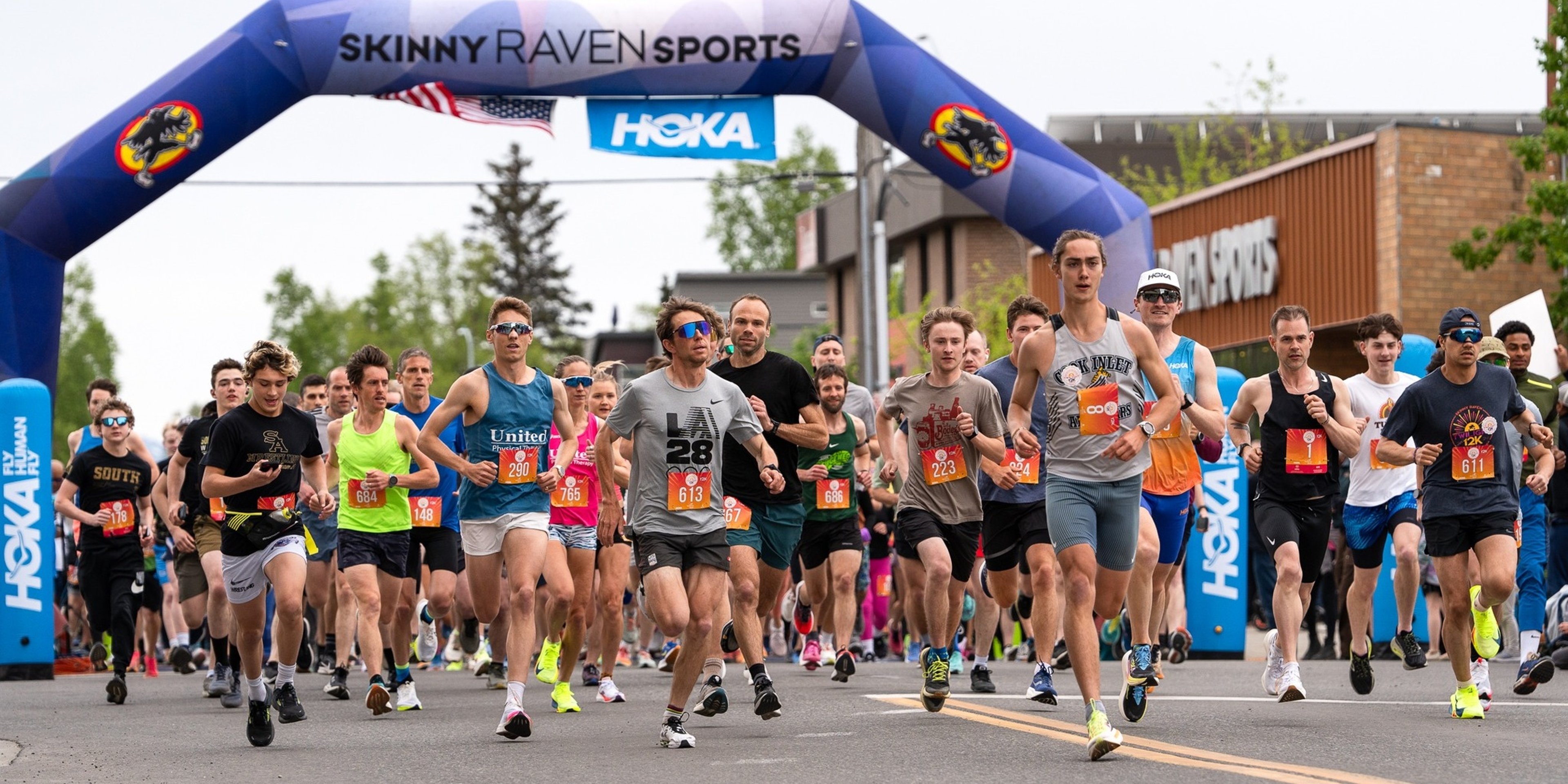 Image for Skinny Raven