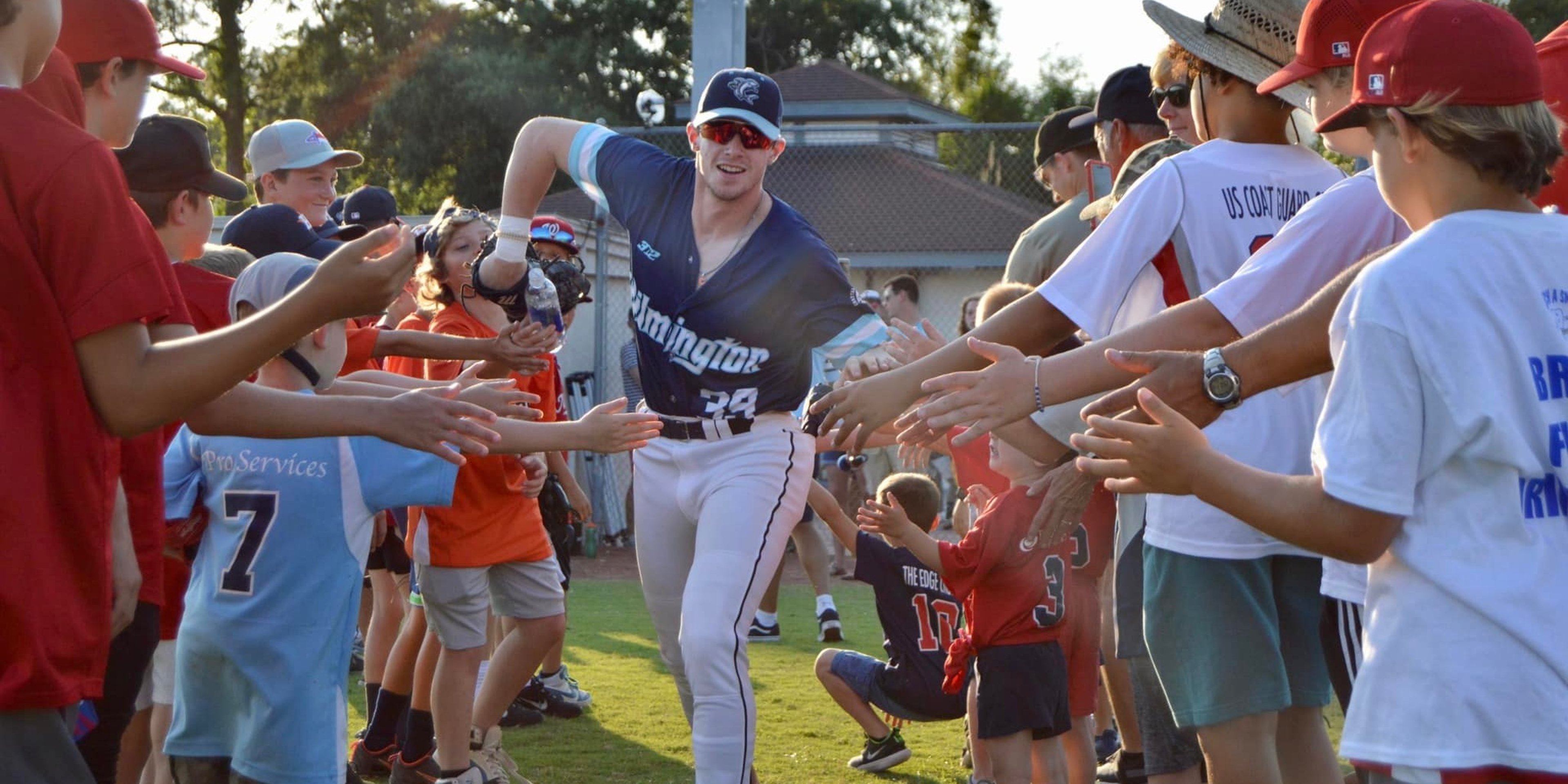 Image for Wilmington Sharks