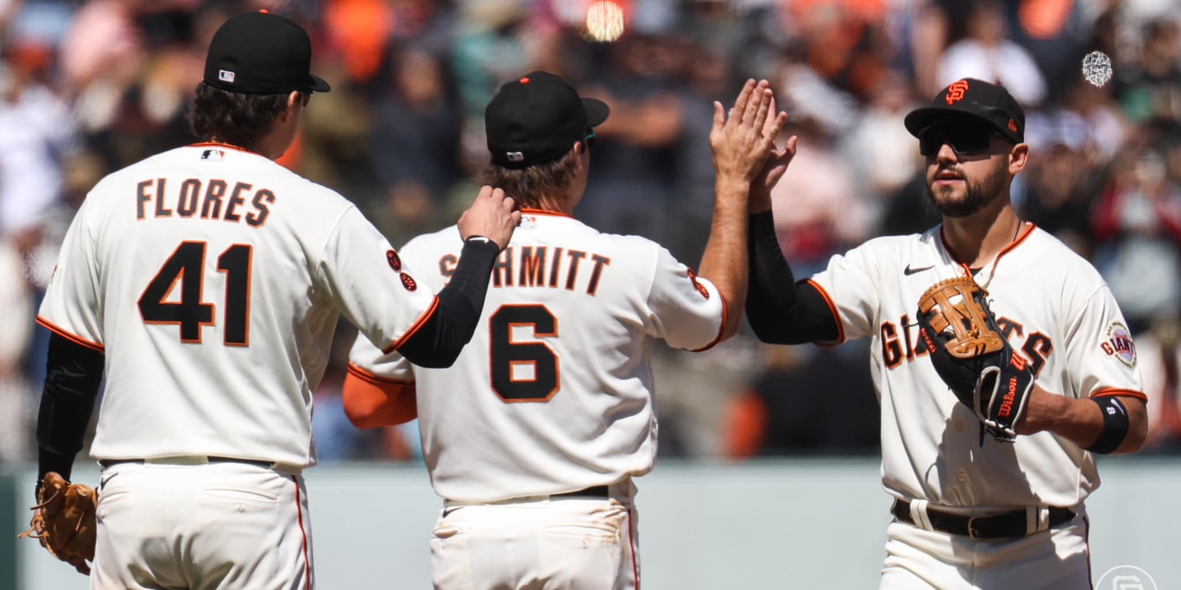 Image for San Jose Giants