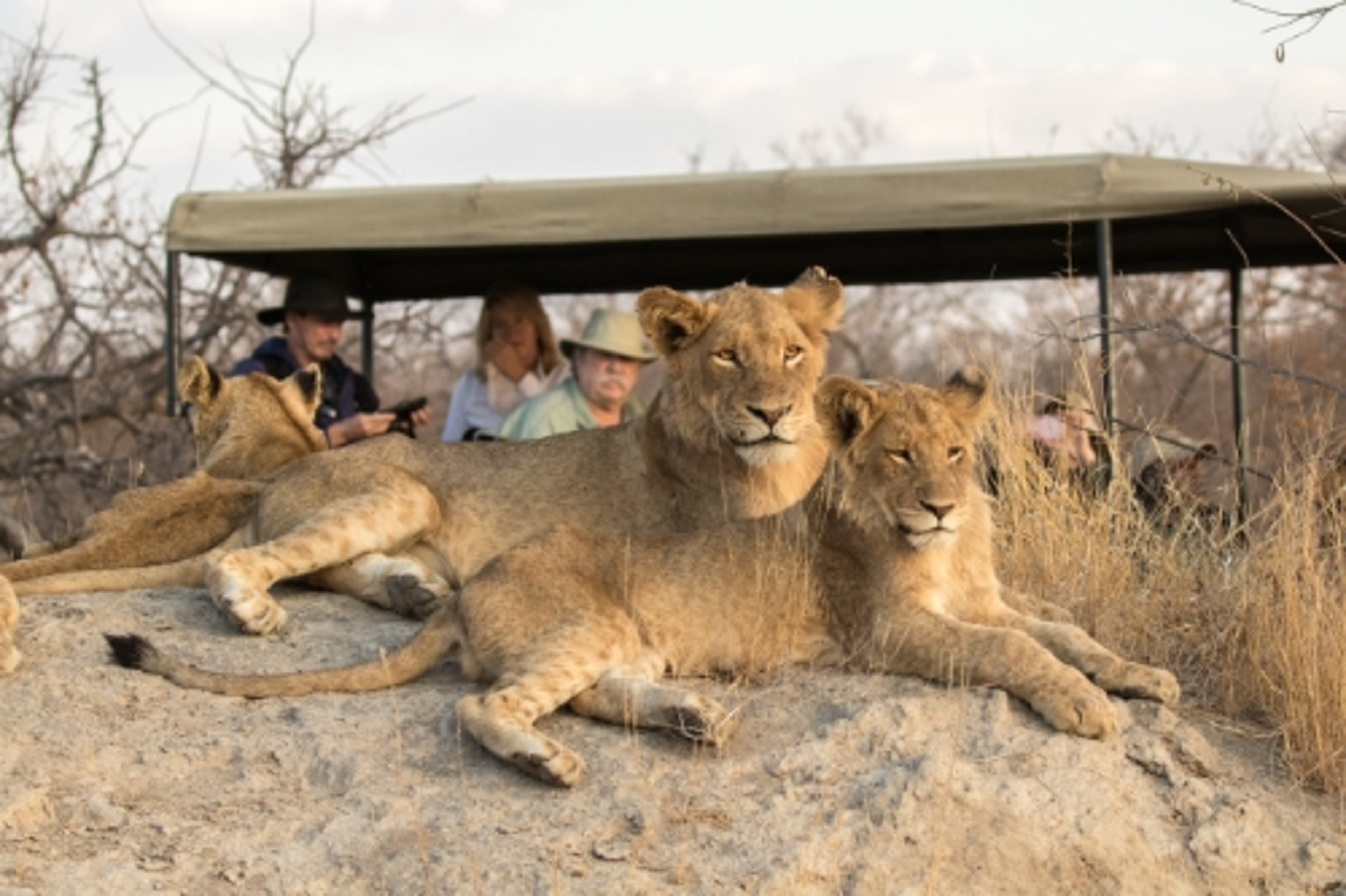 Image for Ezulwini Game Lodges