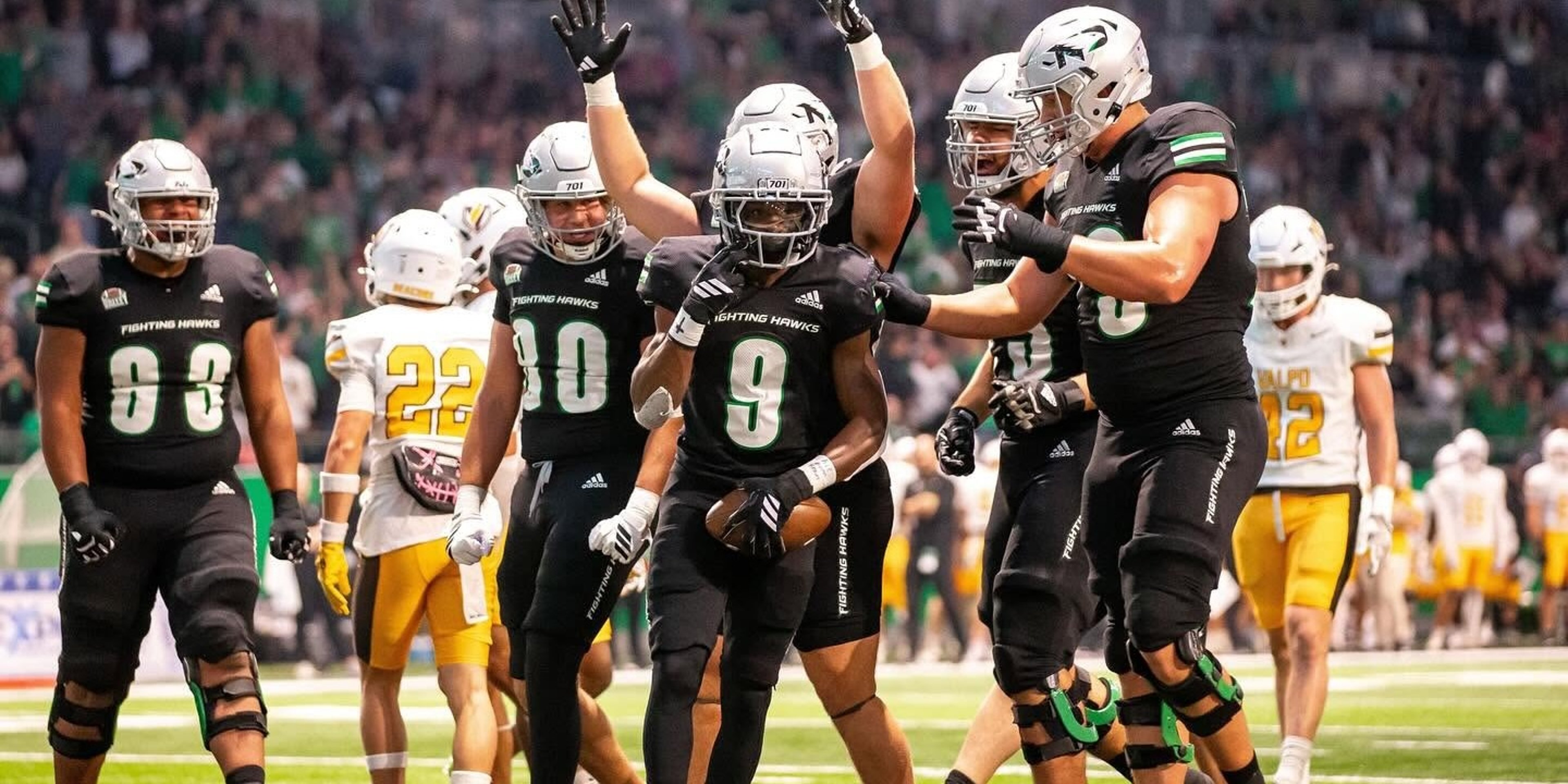 Image for University of North Dakota Athletics (Fighting Hawks)