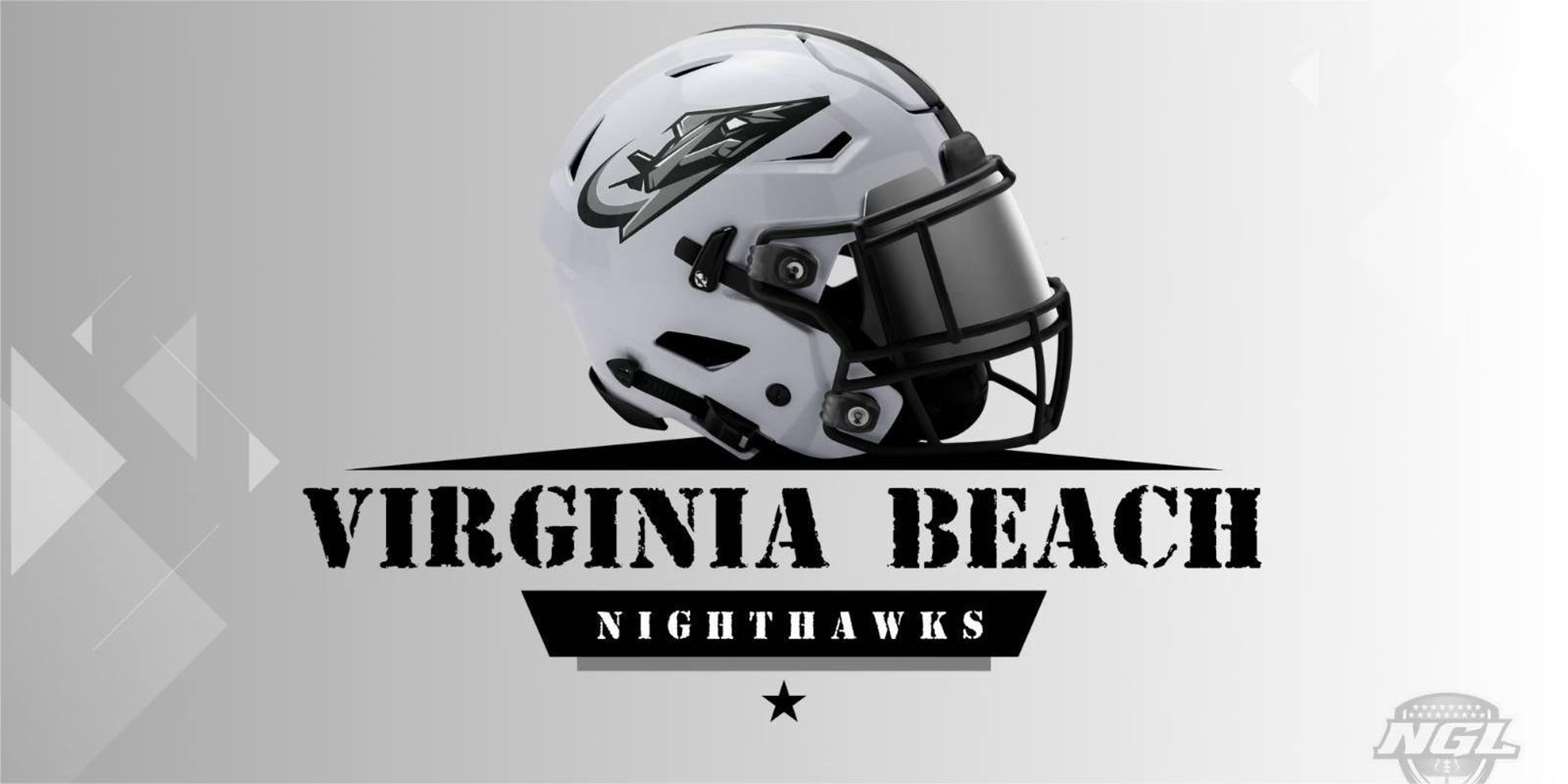 Image for Virginia Beach Nighthawks