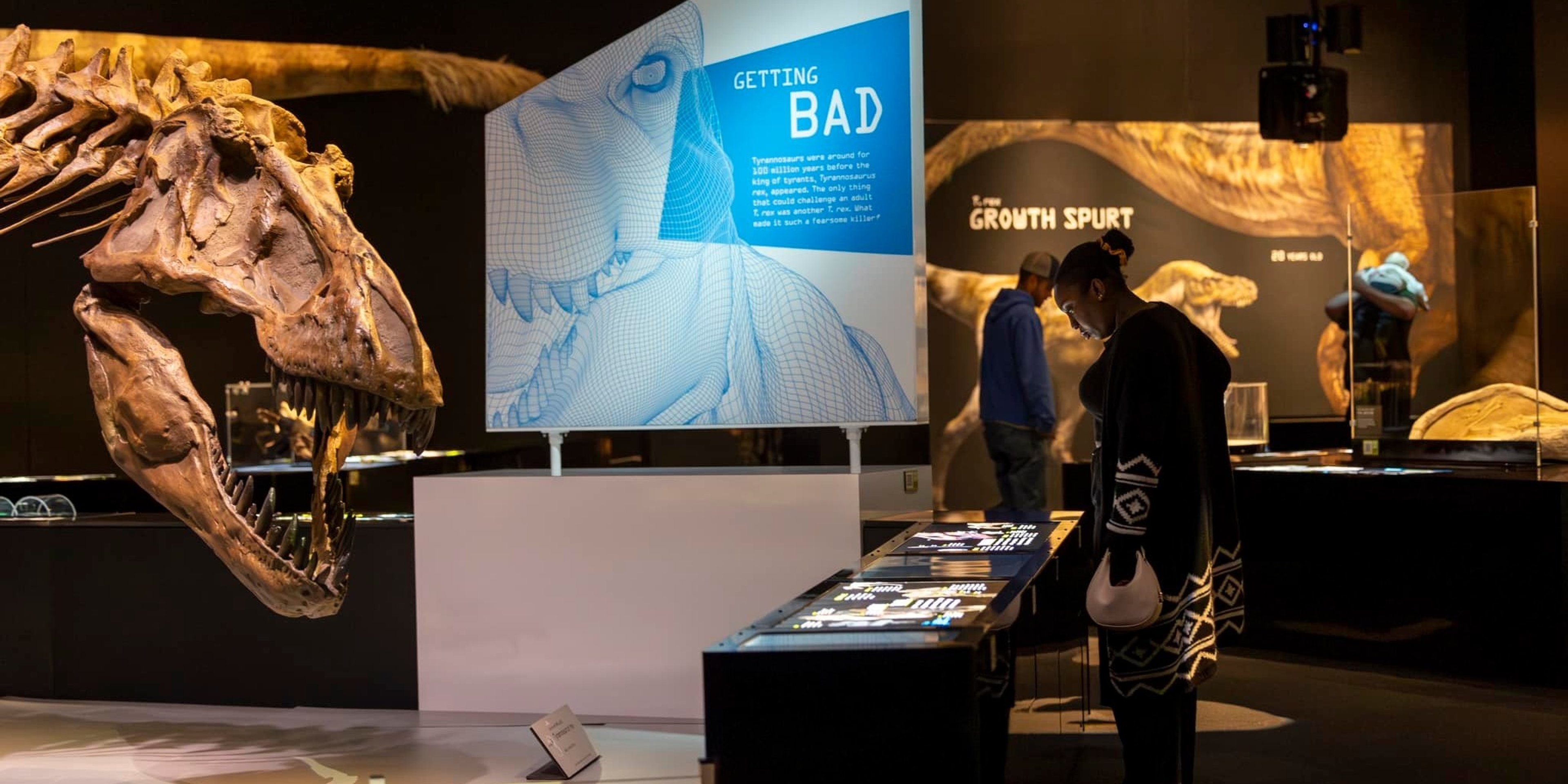 Image for Perot Museum