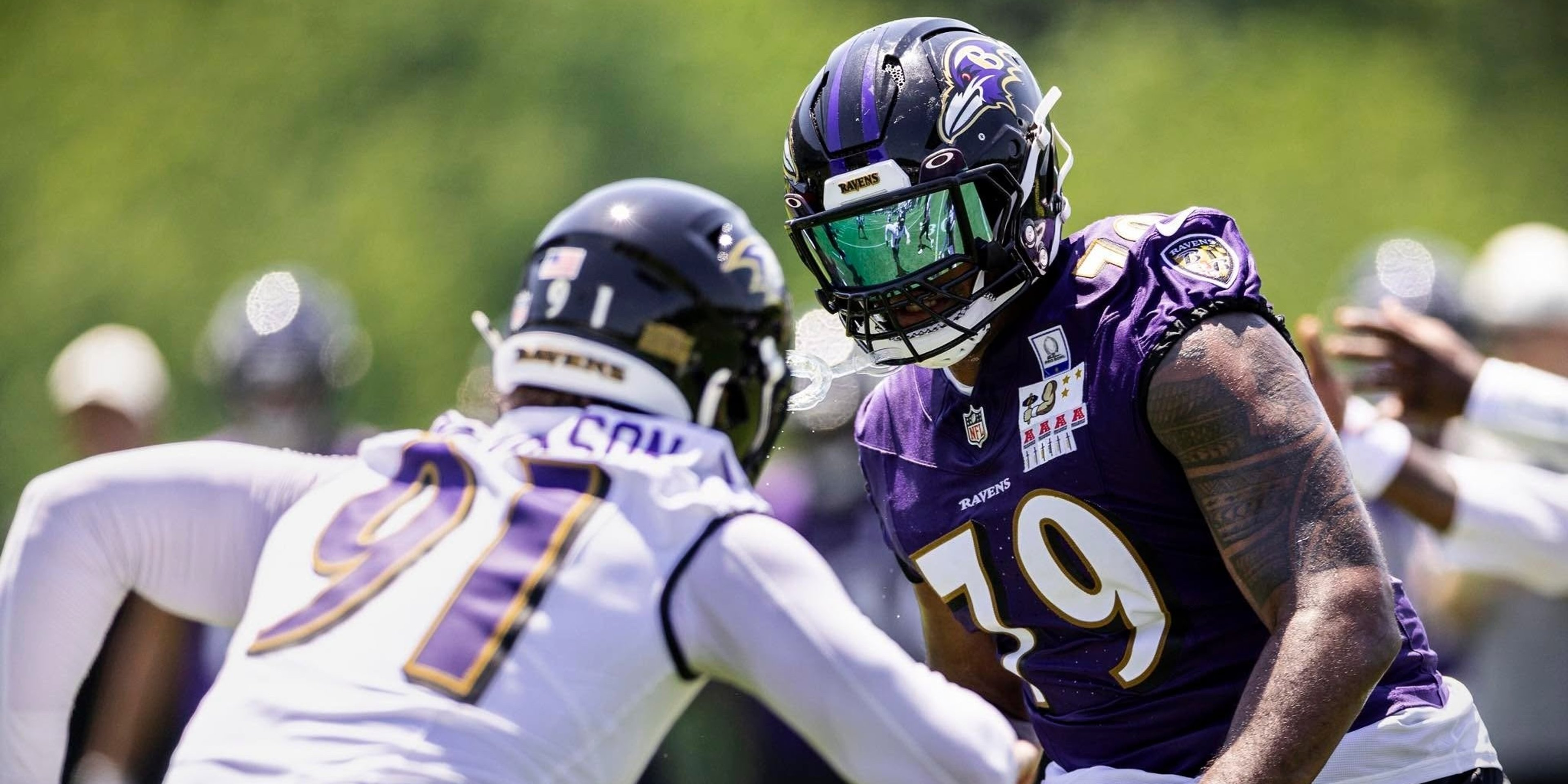 Image for Baltimore Ravens