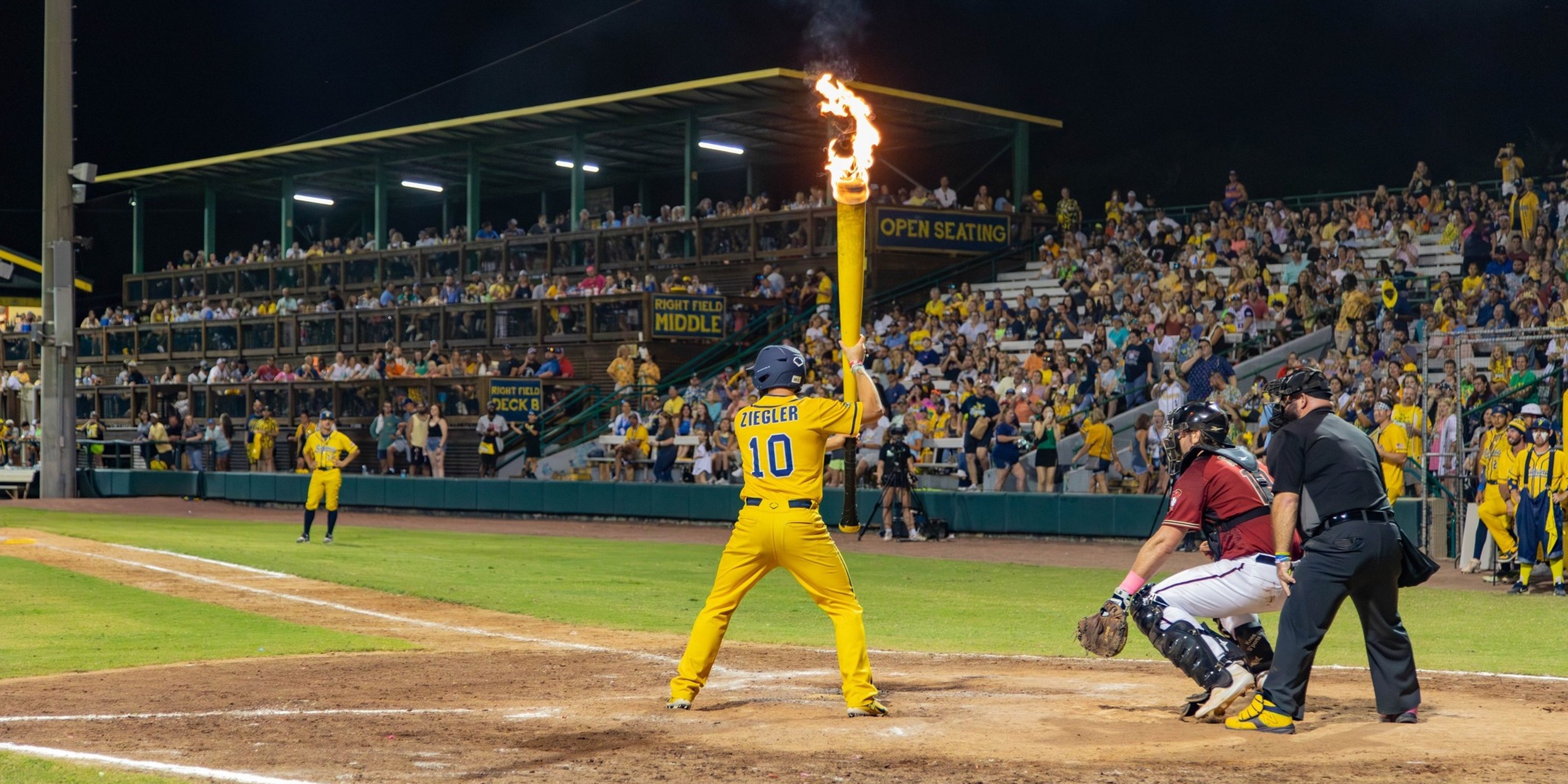 Image for Savannah Bananas