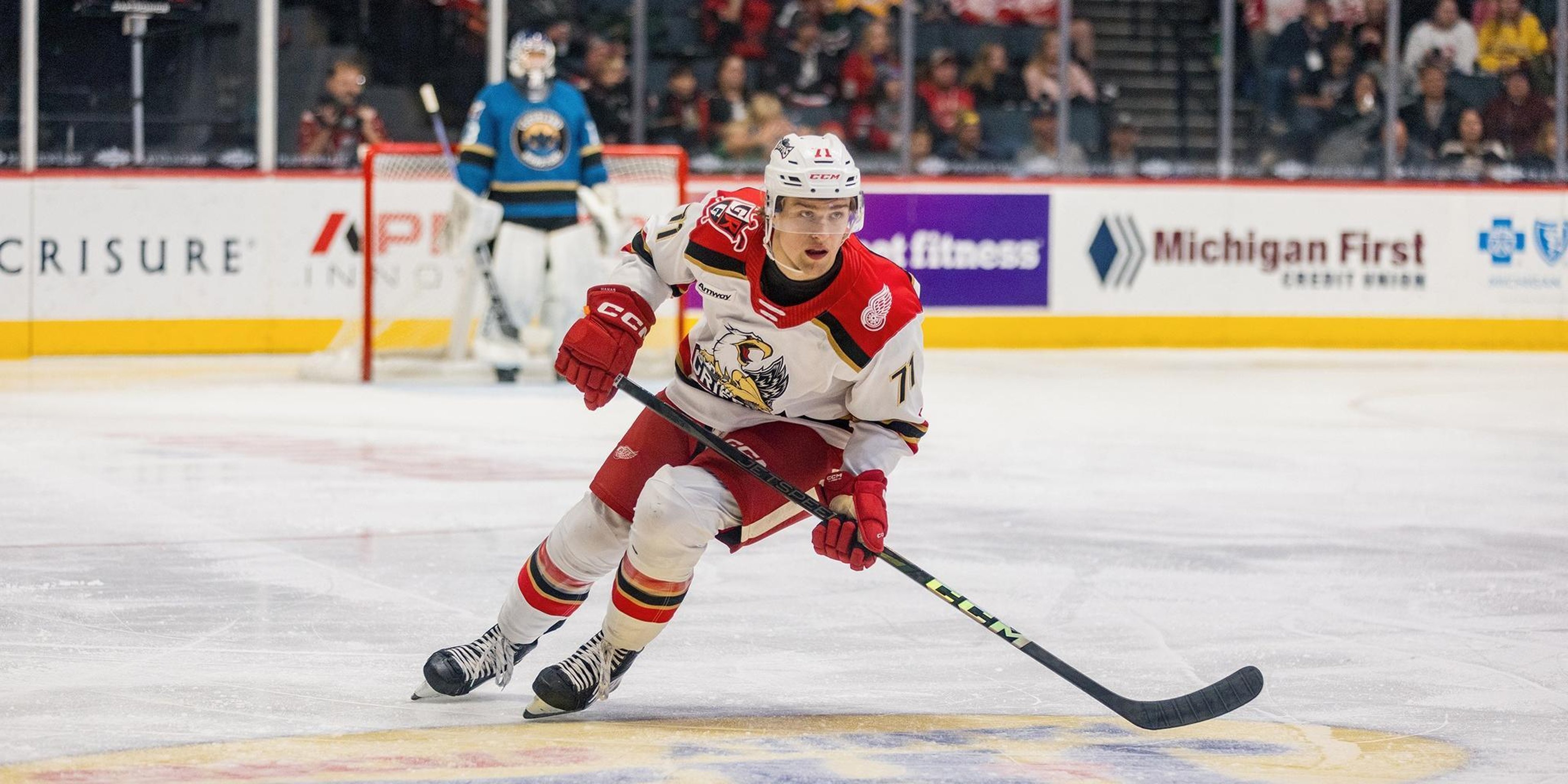 Image for Grand Rapids Griffins