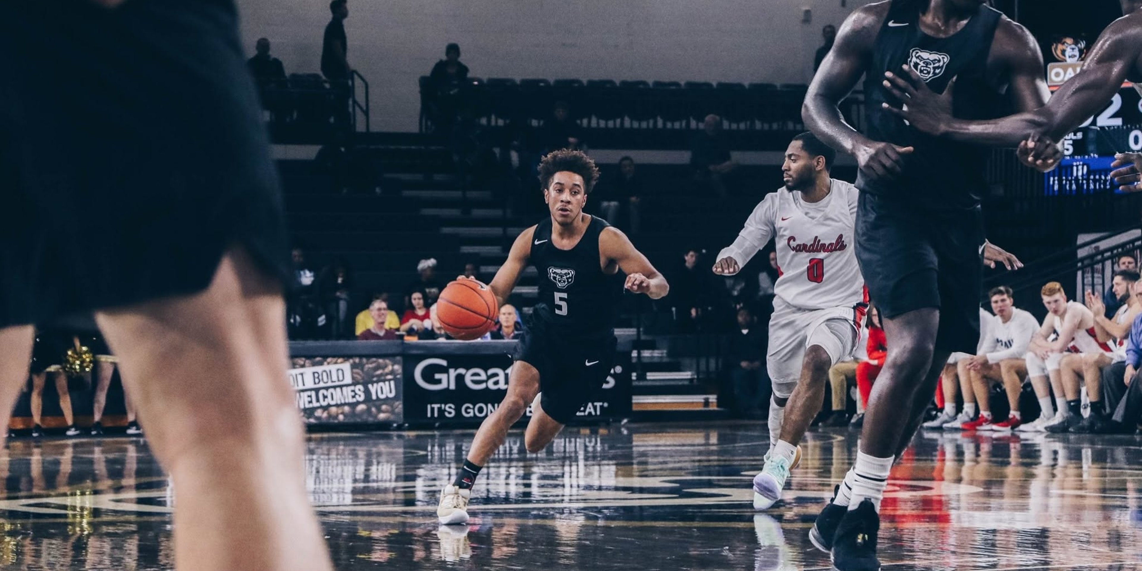 Image for Oakland University Athletics (Golden Grizzlies)