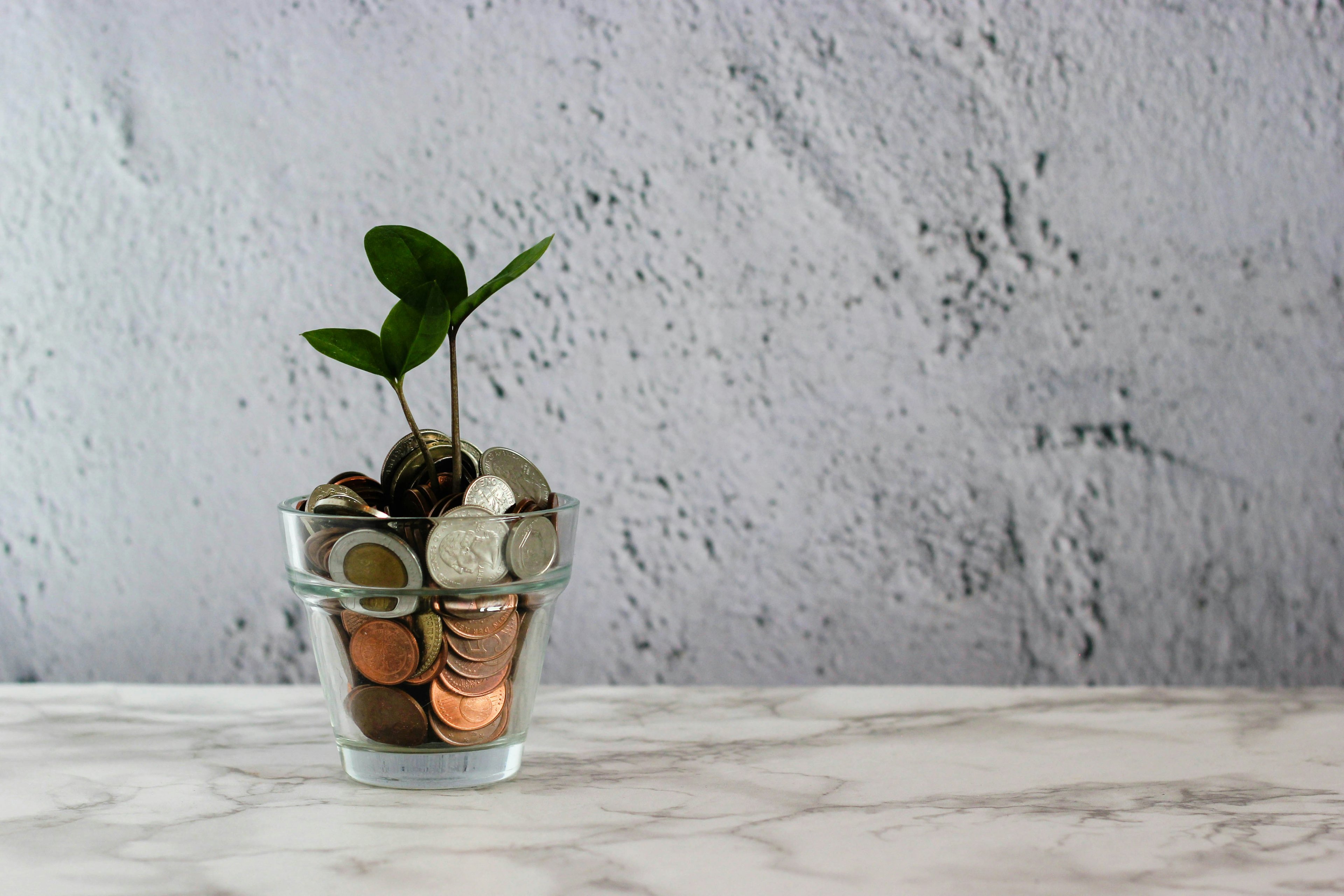 Cover photo for 25+ Essential Fundraising Ideas for Clubs