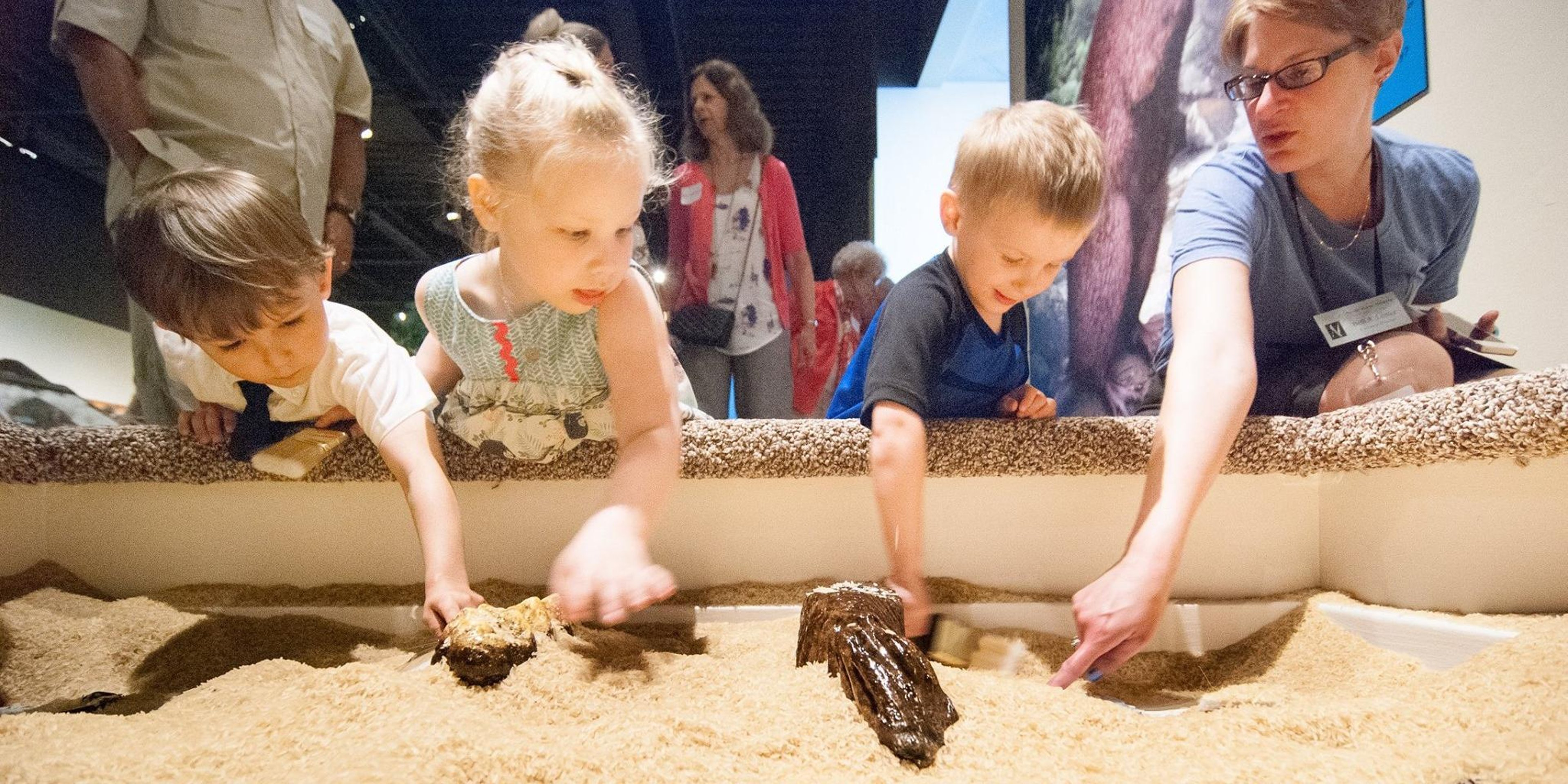 Image for Neville Public Museum