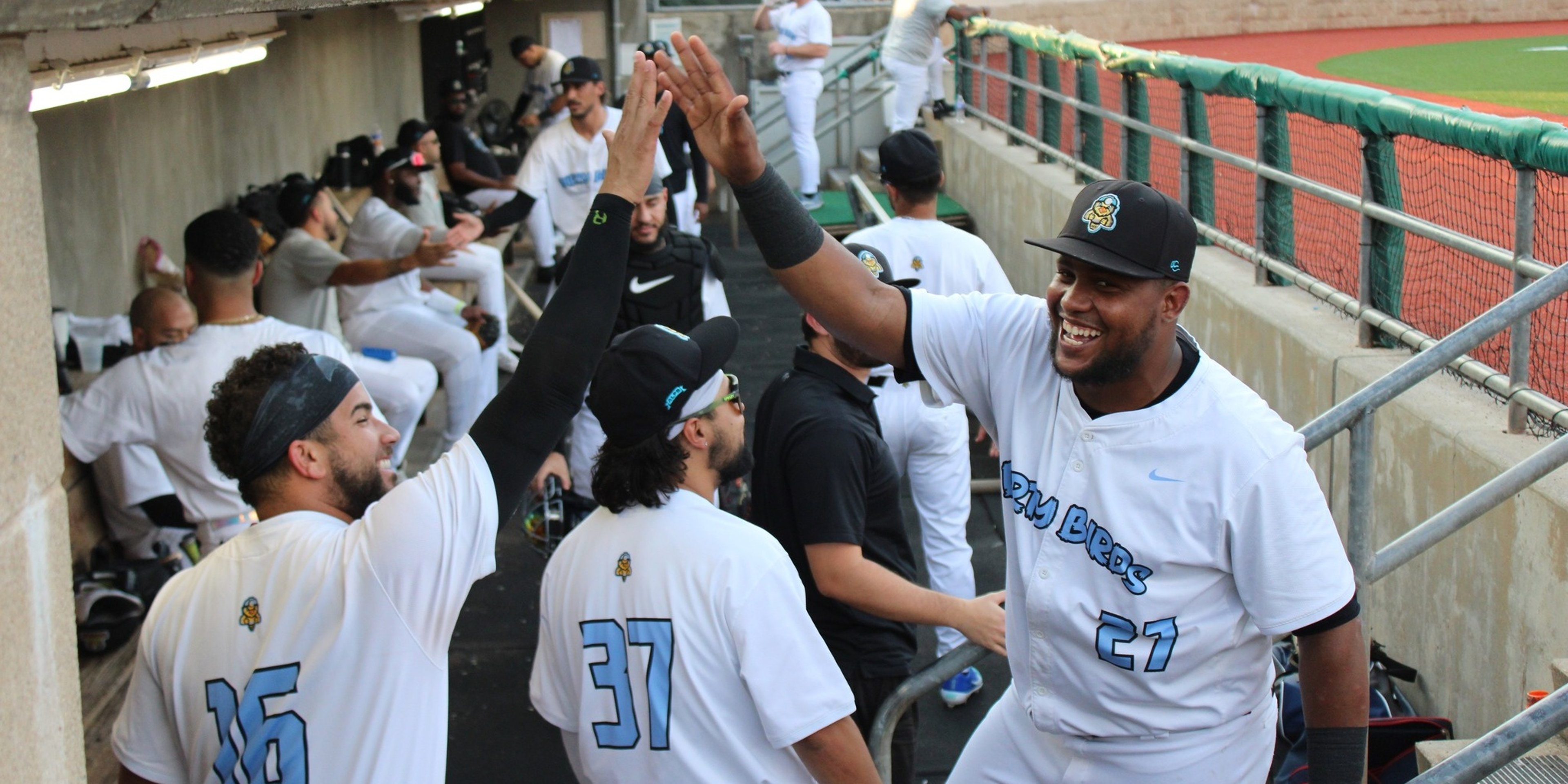 Image for Charleston Dirty Birds