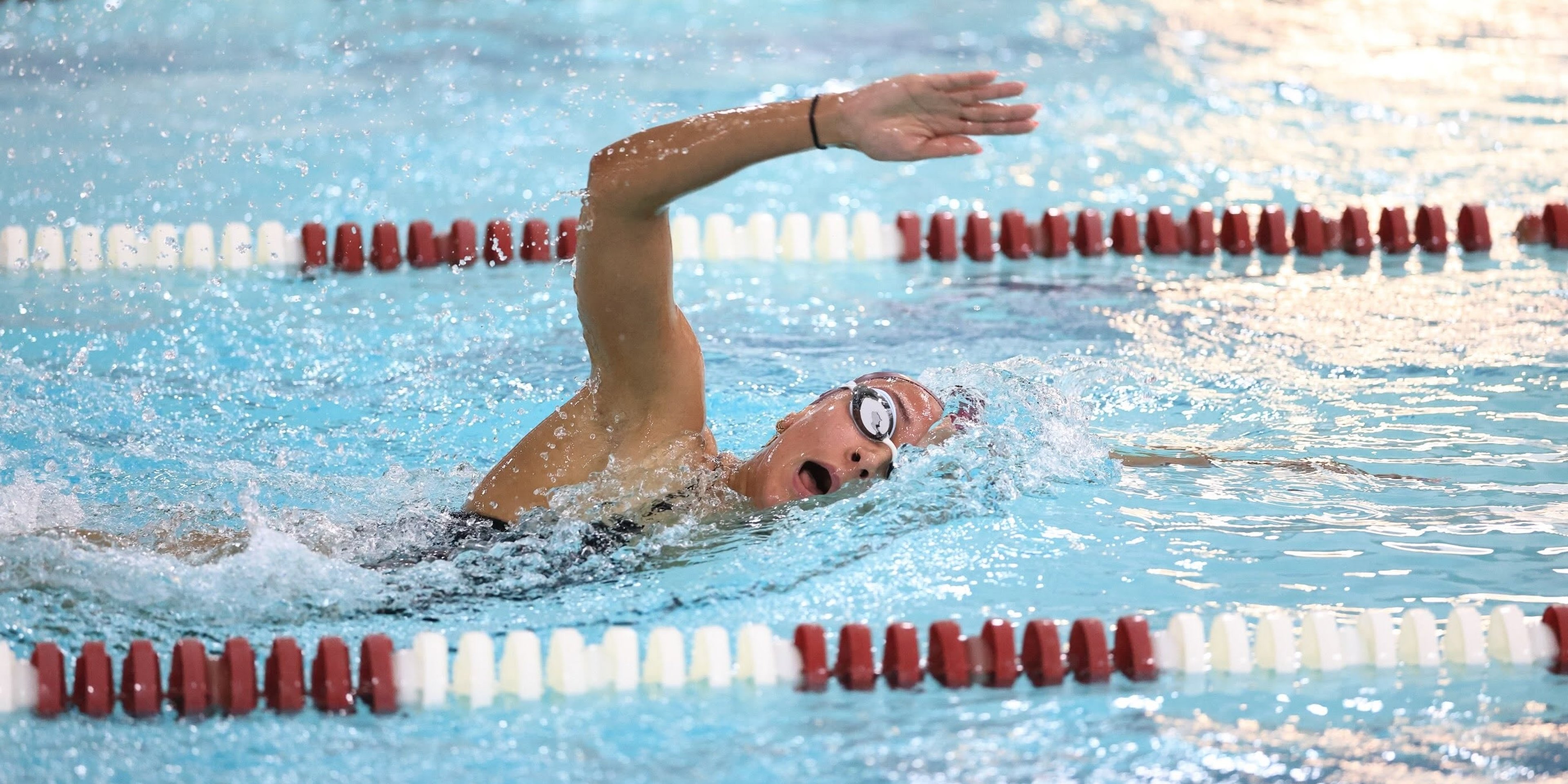 Image for Fordham University Athletics