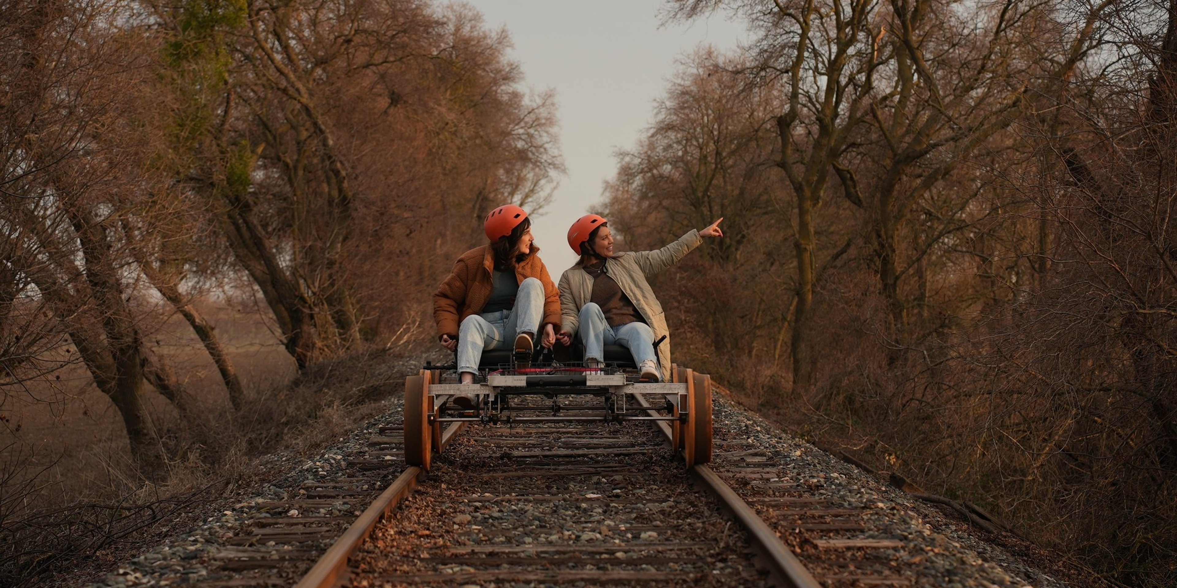 Image for River Fox Train