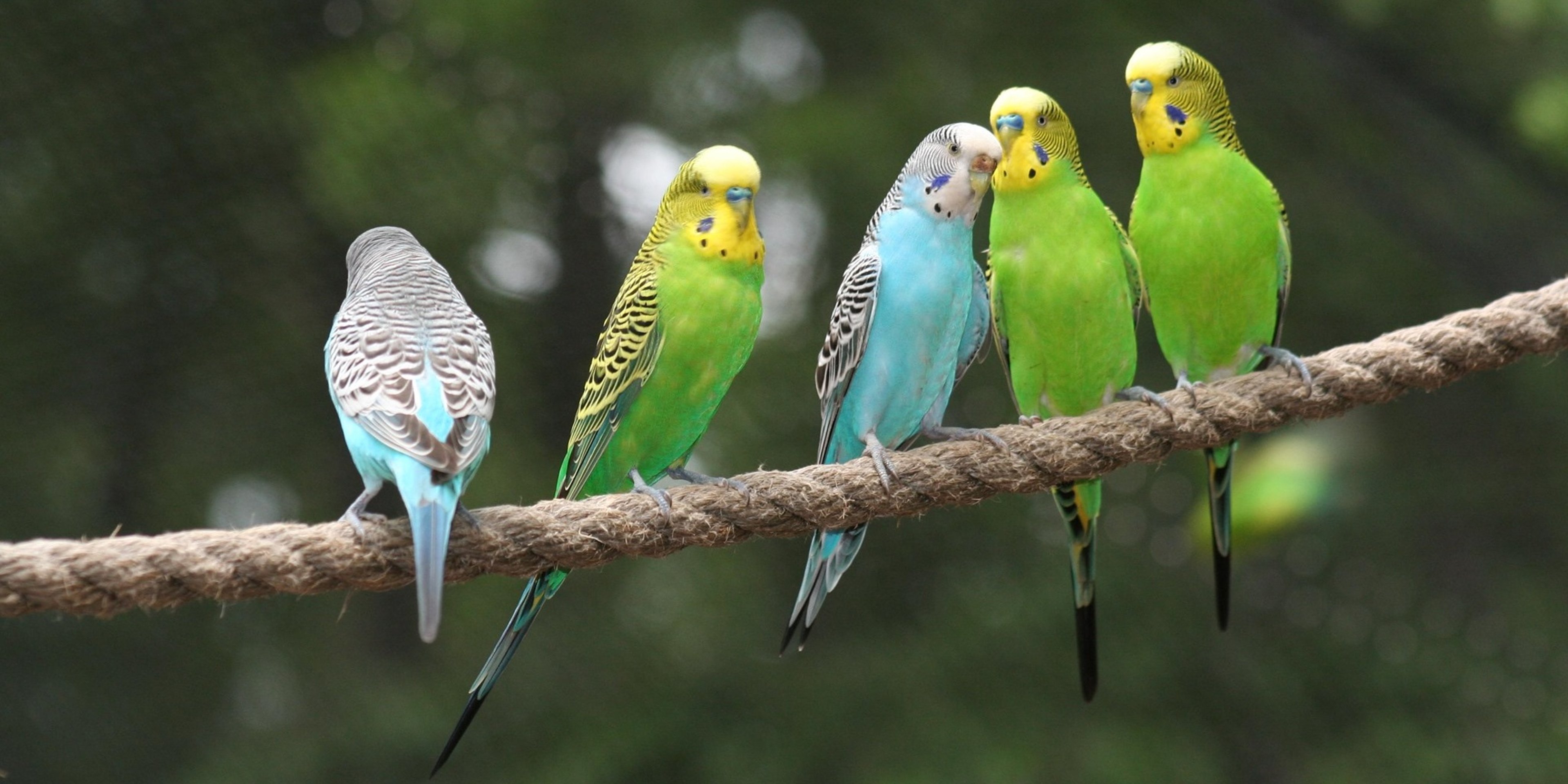 Image for Washington Park Zoo