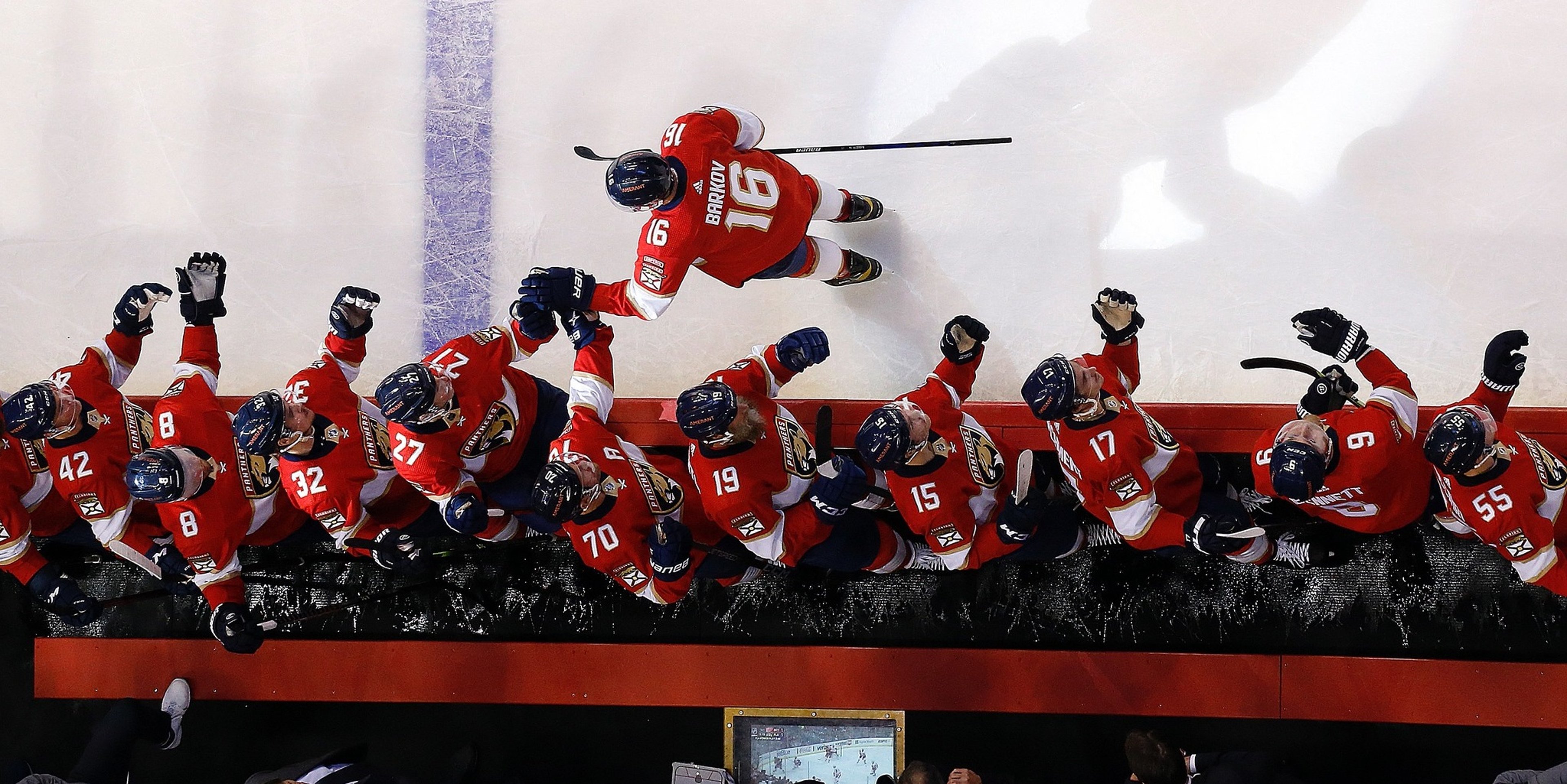 Image for Florida Panthers