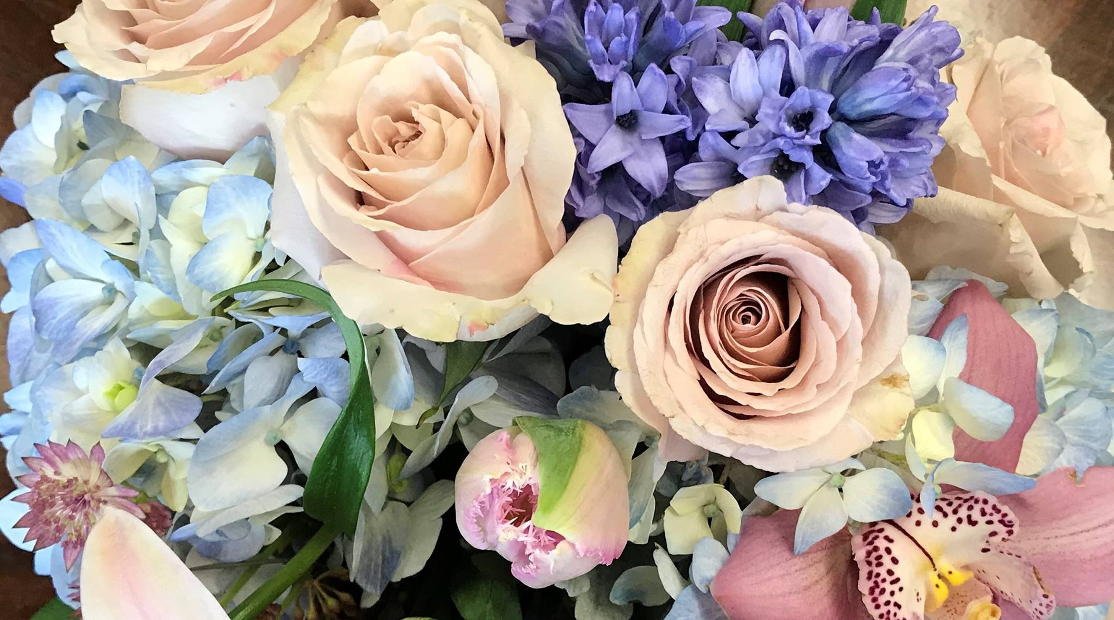 Image for Bloomster's 