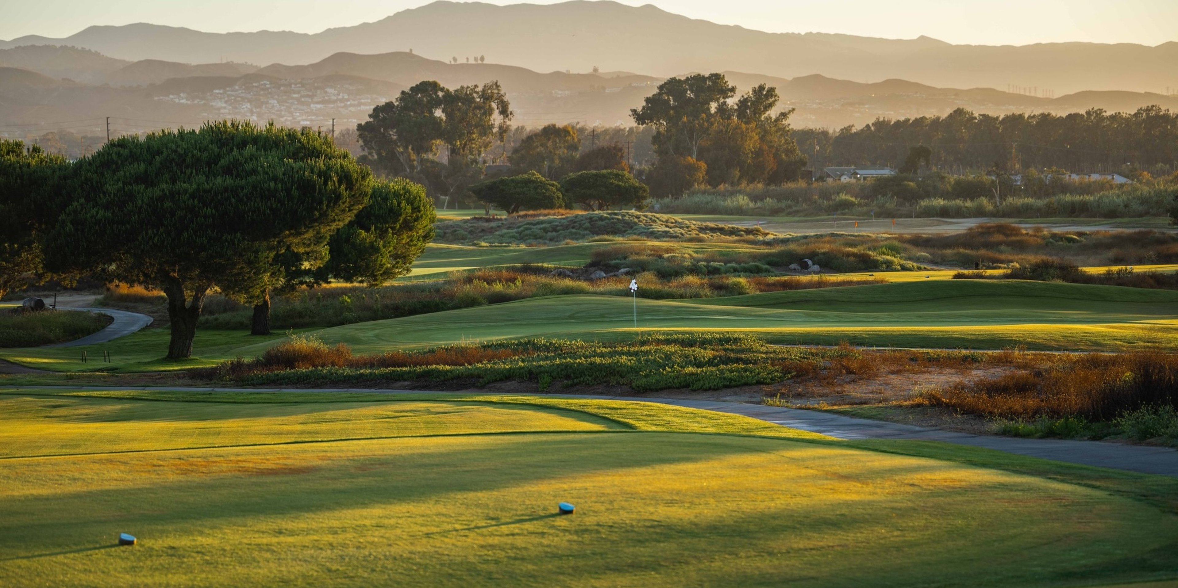 Image for Olivas Links