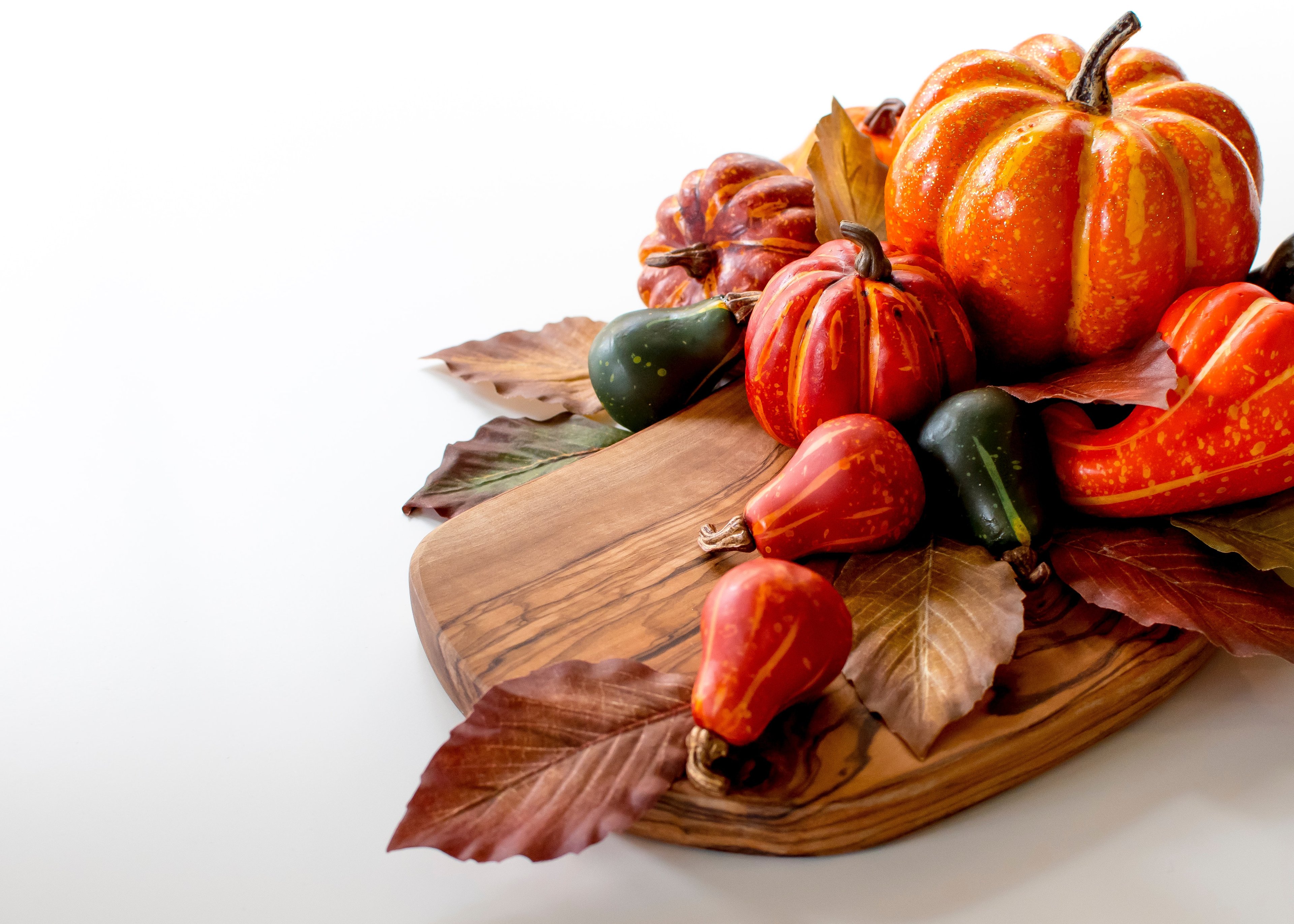 Cover photo for Thanksgiving Feature: Top 5 Donors in TheShareWay Database 