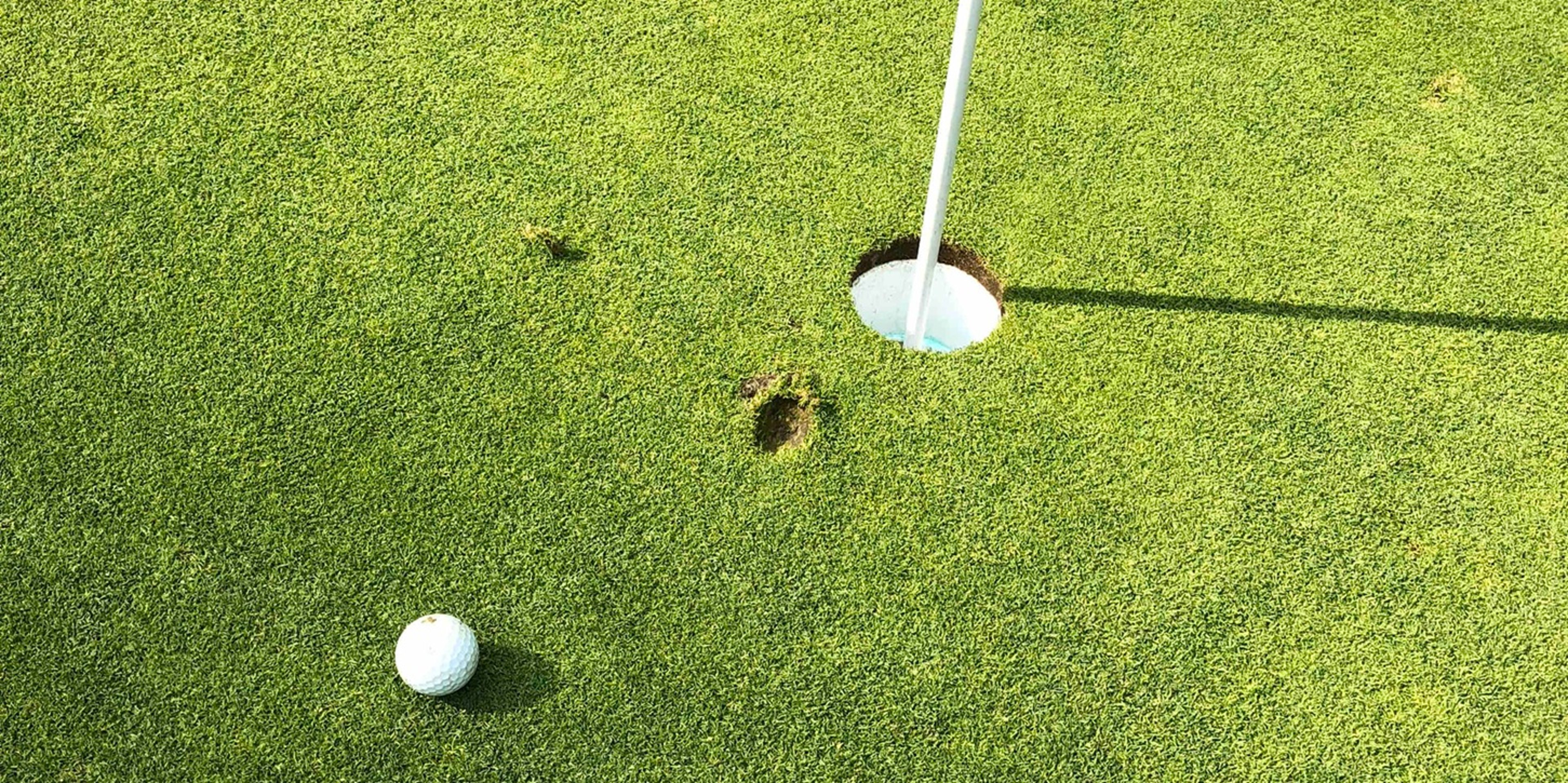 Image for Paxon Hollow Country Club