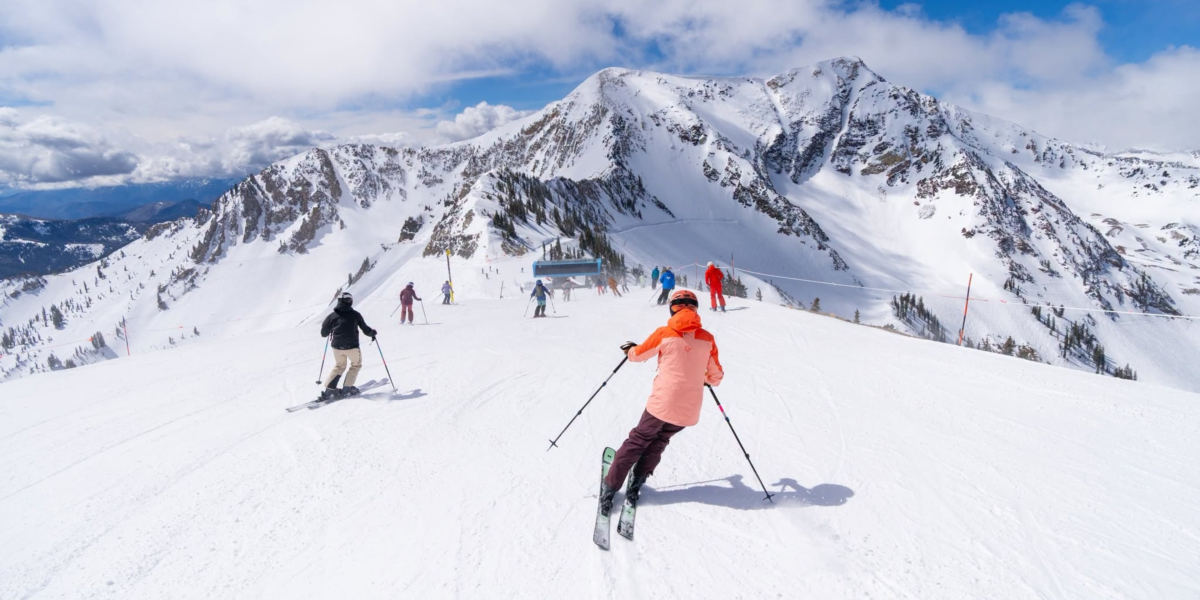 Image for Snowbird