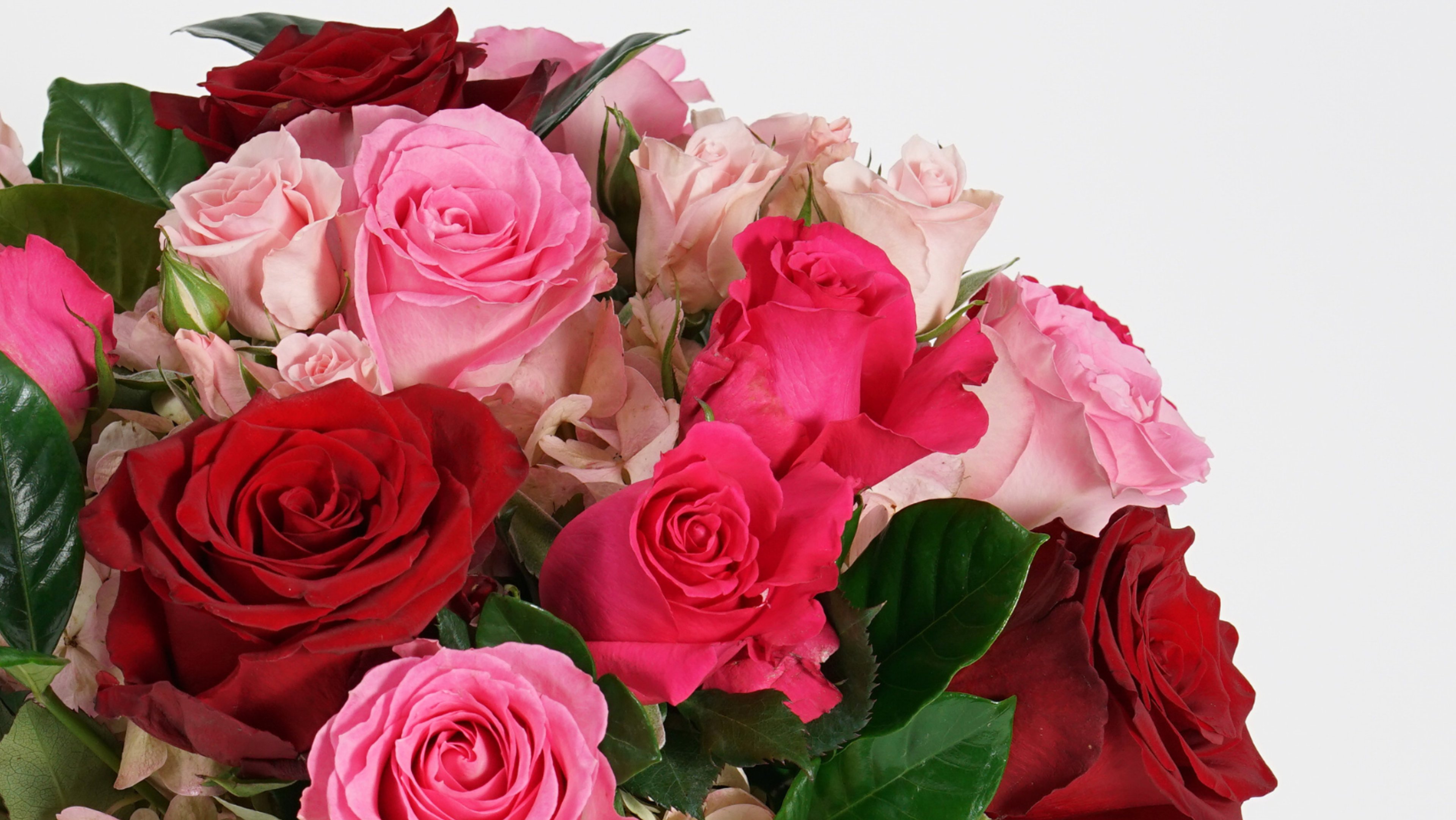 Image for Robertson’s Flowers & Events