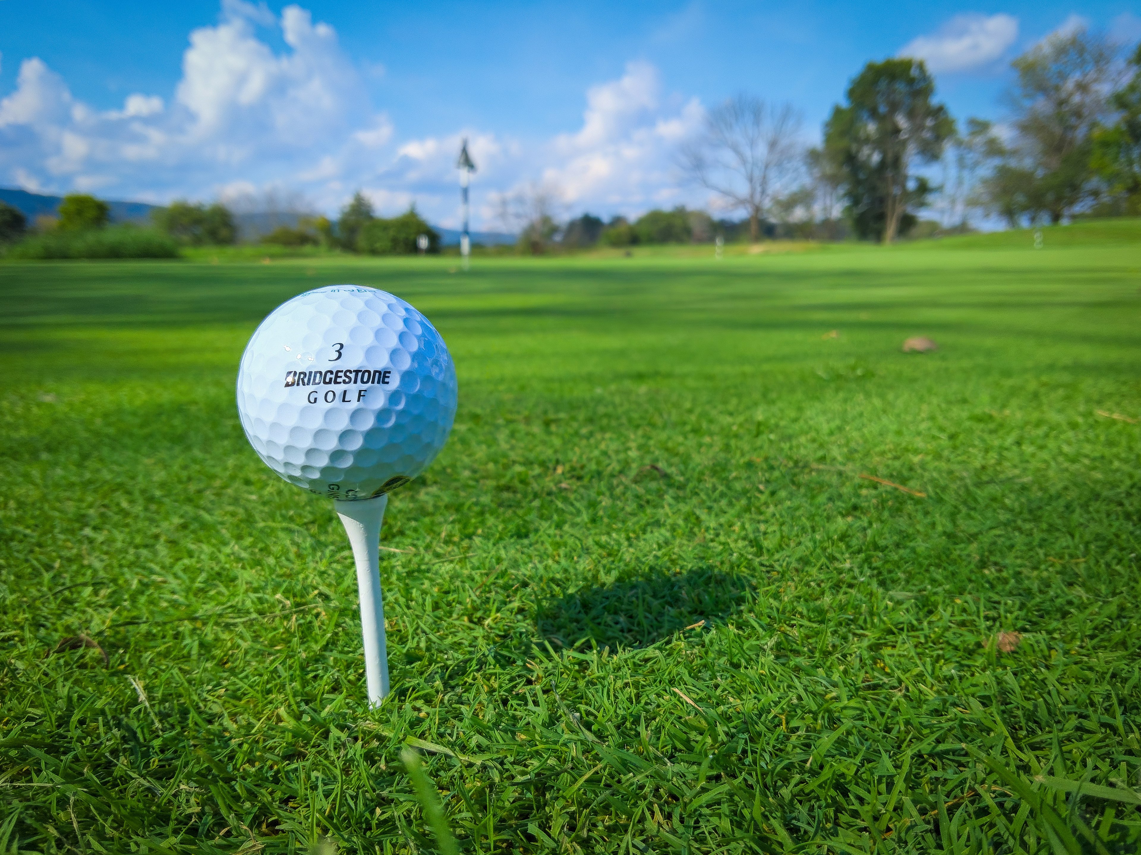 Cover photo for 24 Golf Donation Request Ideas for Your Next Fundraiser