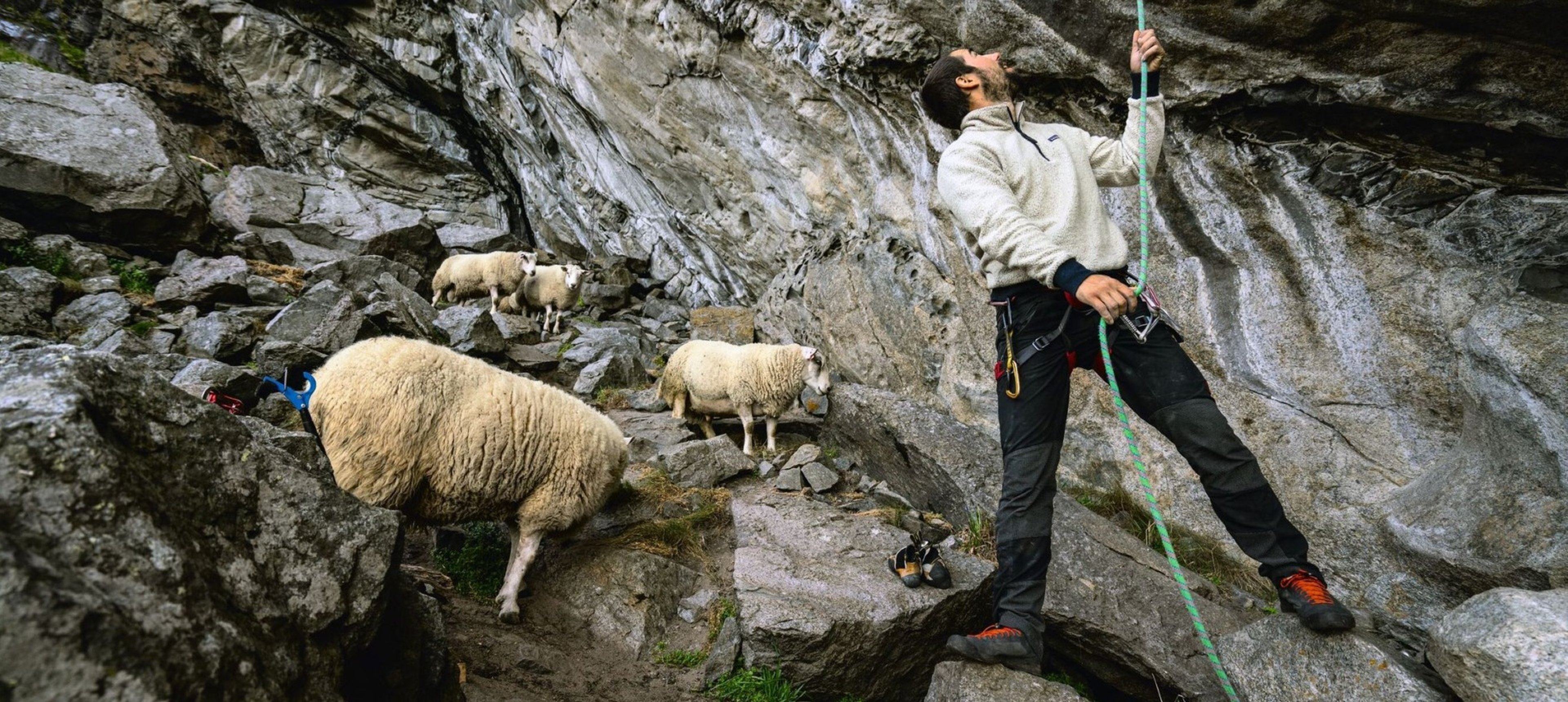 Image for Vital Outdoors